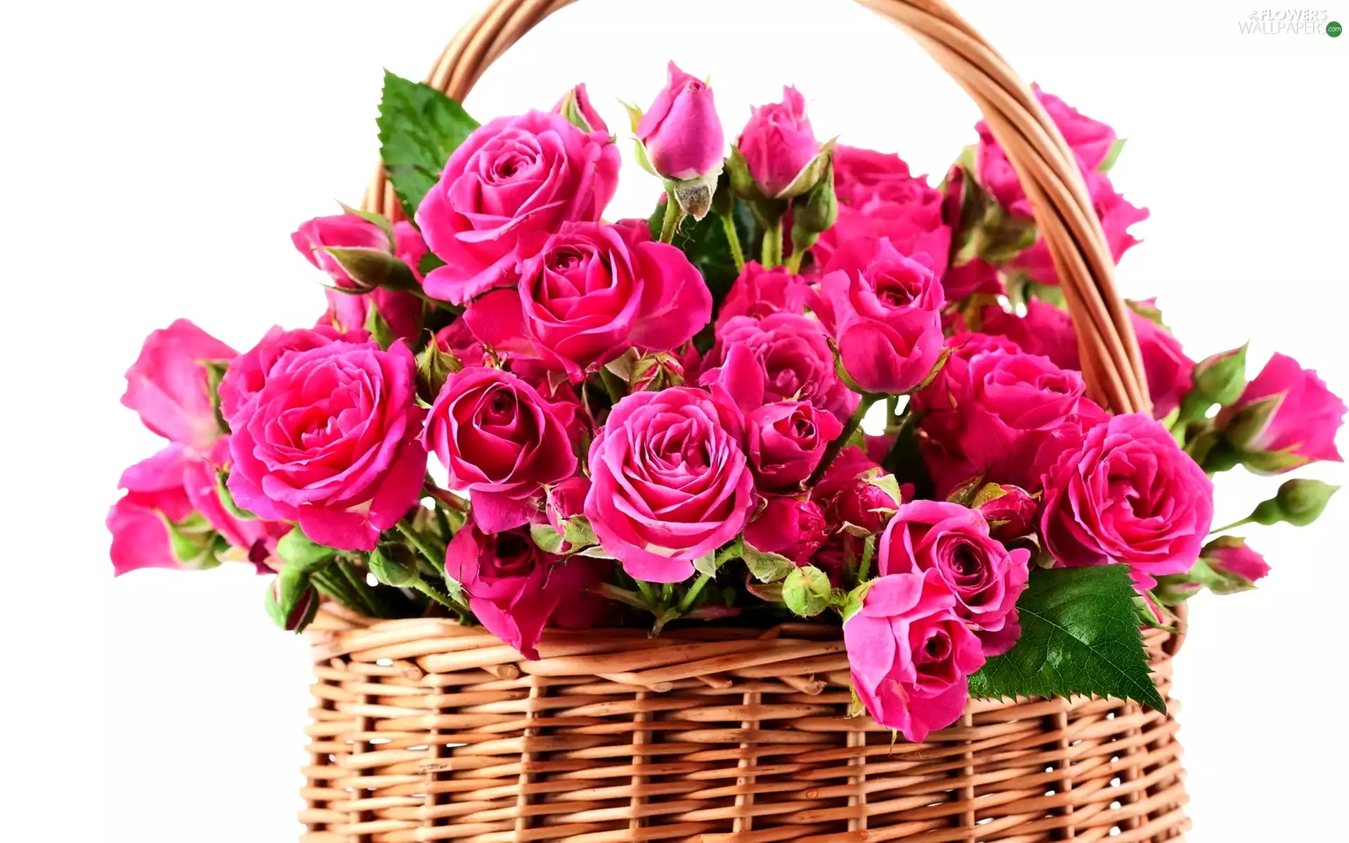 basket, Pink, roses