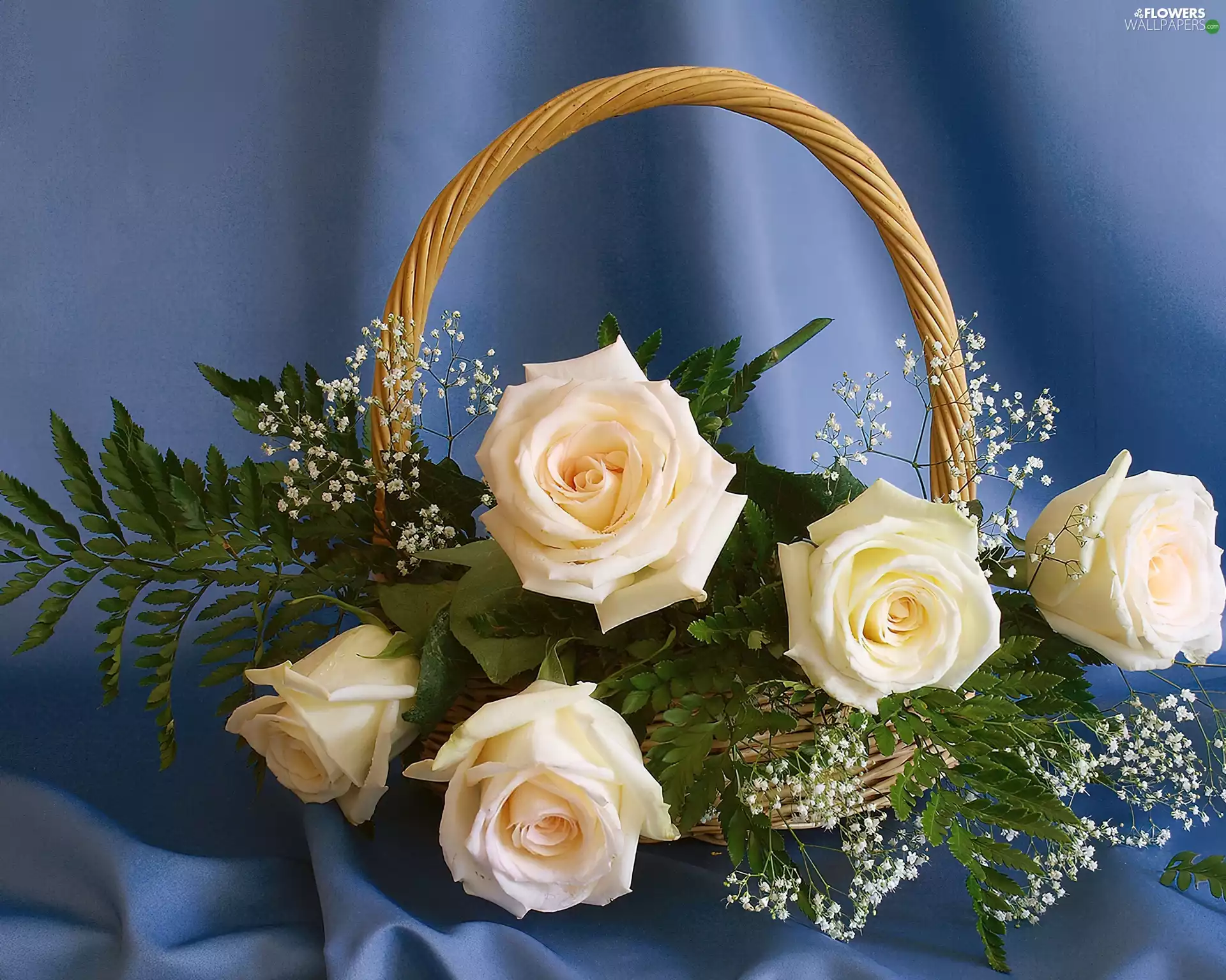 basket, White, roses