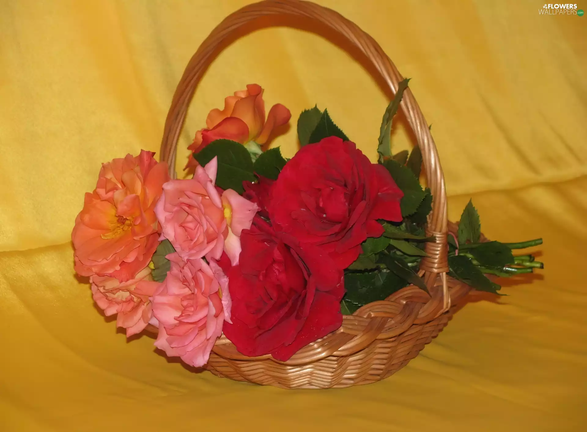 basket, bouquet, rouge