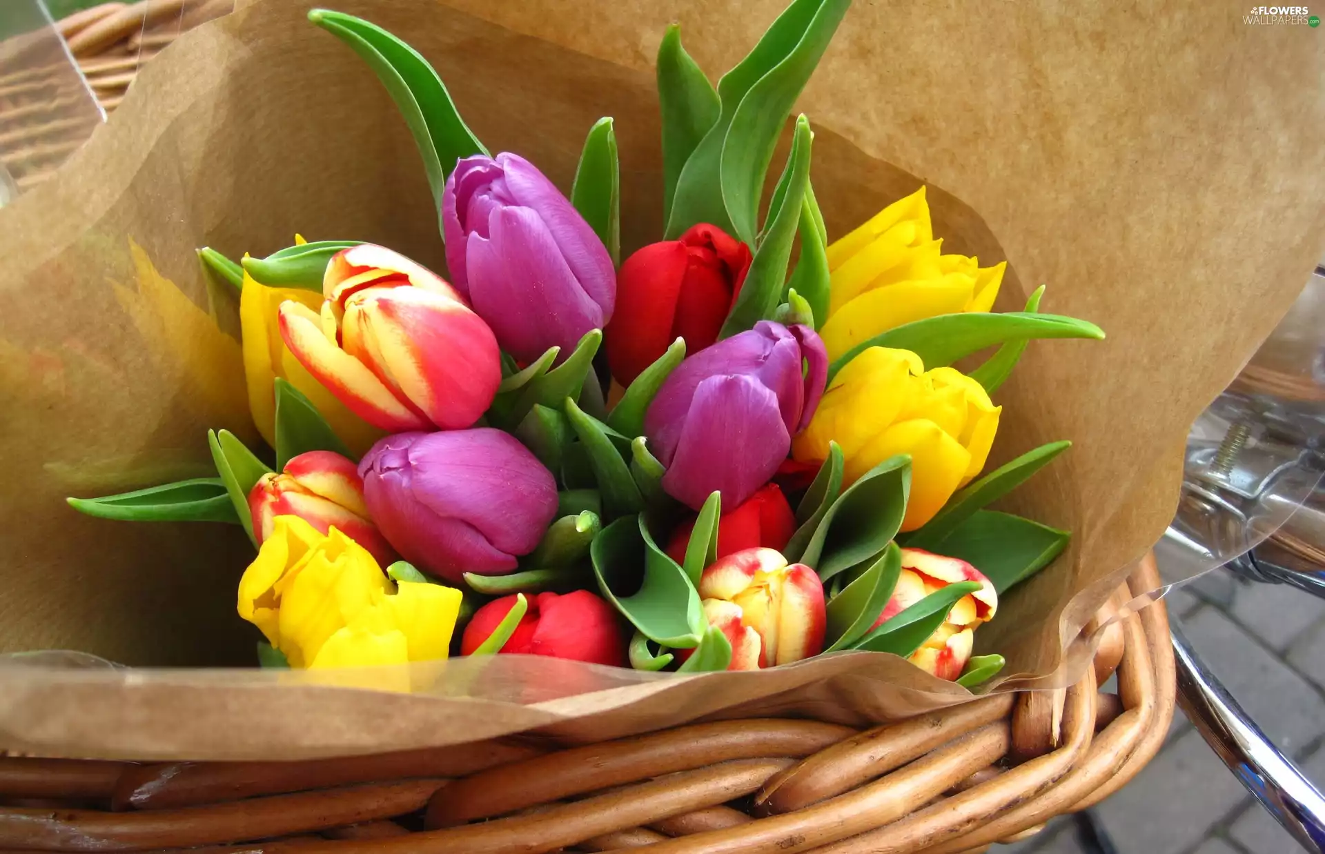 Tulips, basket