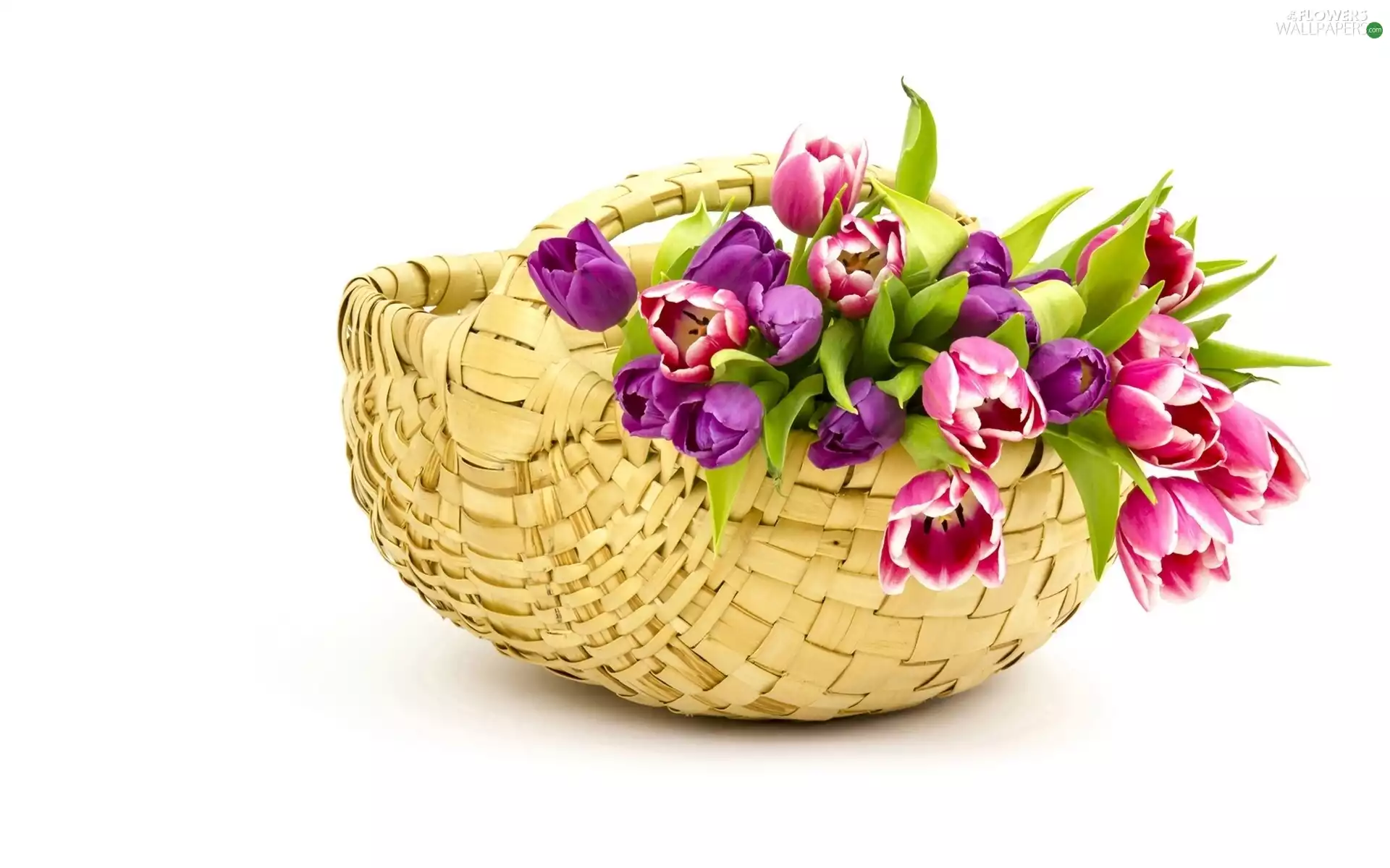 basket, bouquet, tulips