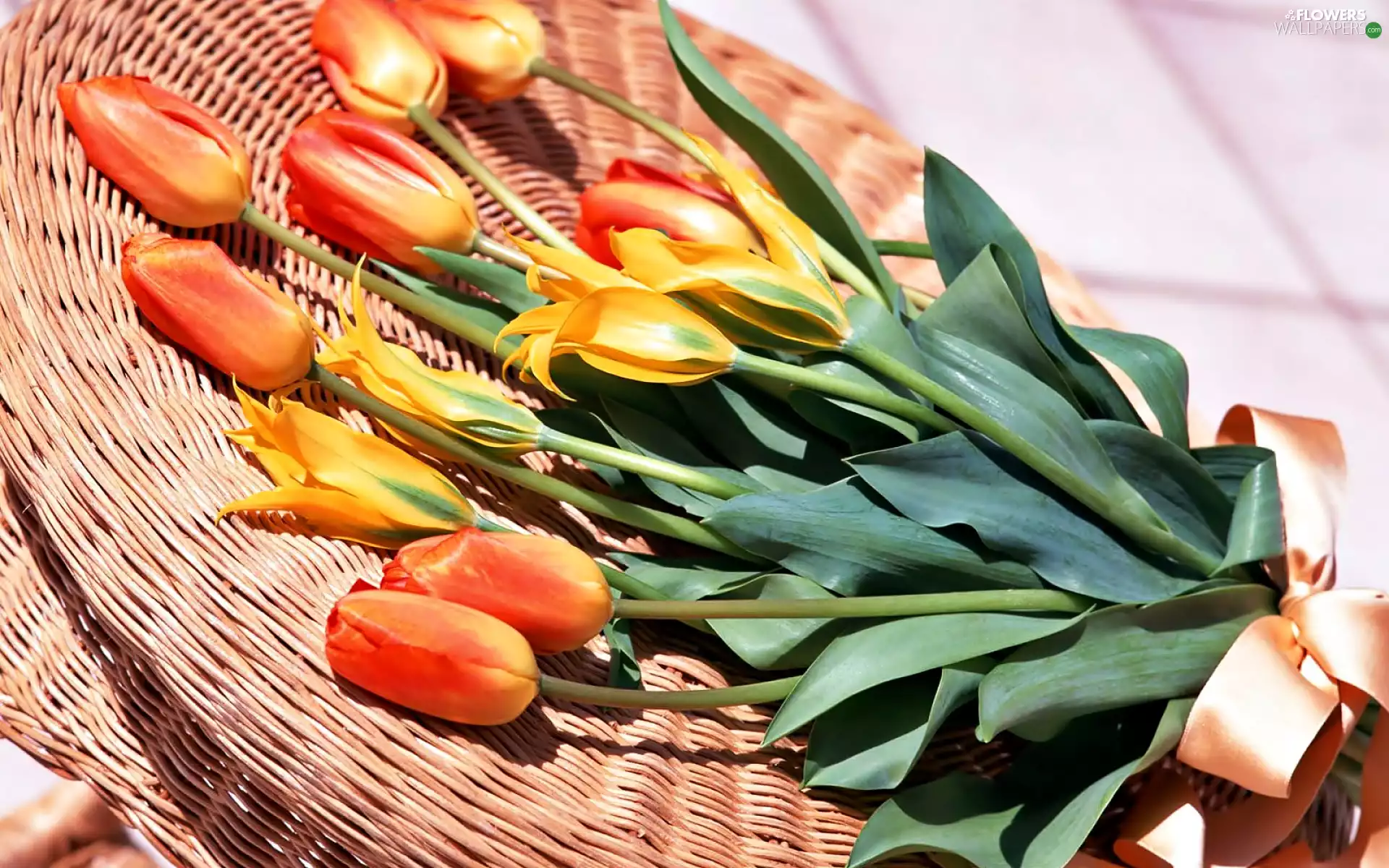 basket, bouquet, Tulips