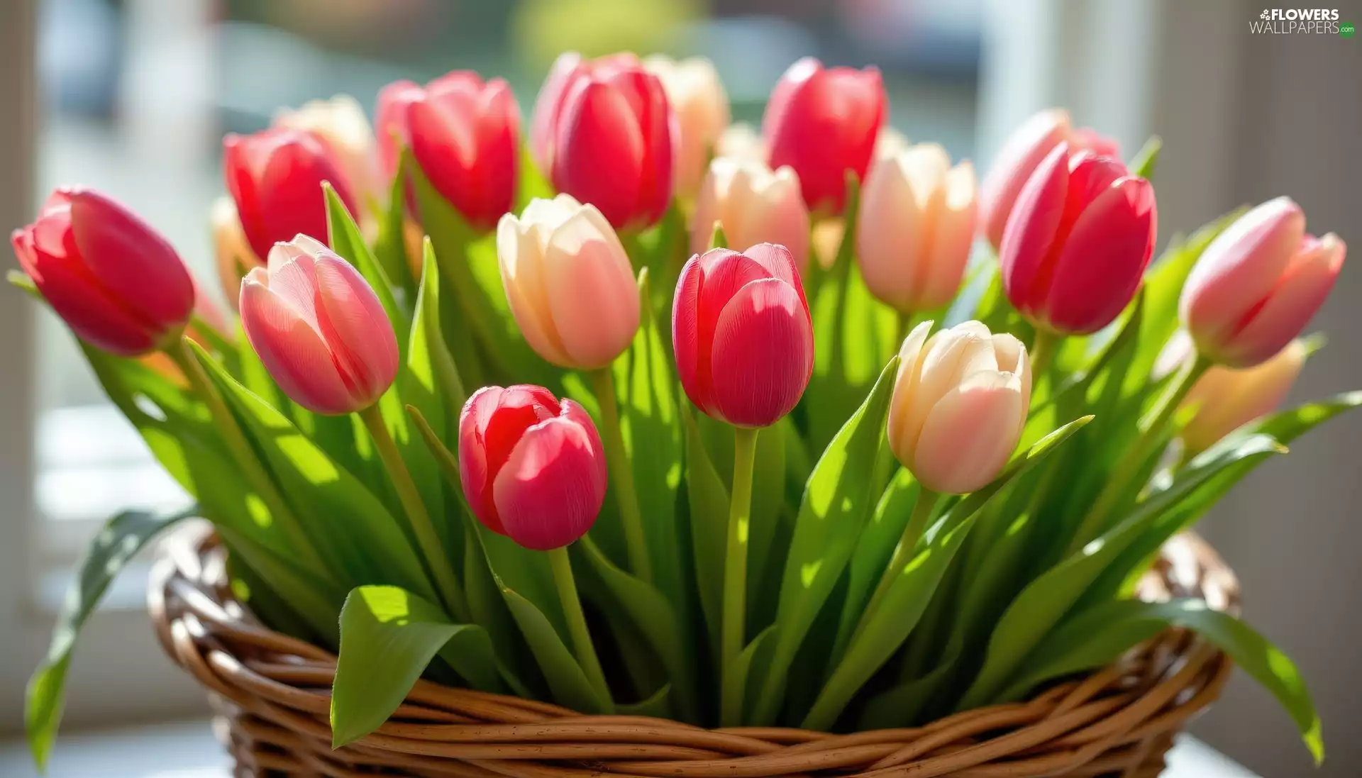 basket, Flowers, Tulips