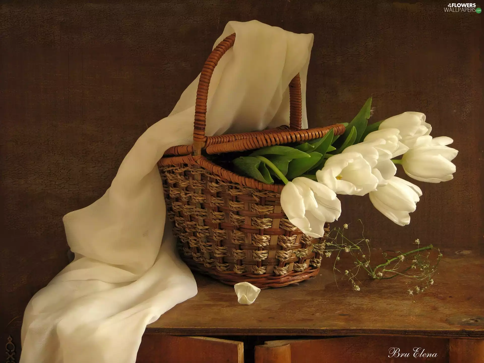 wicker, White, Tulips, basket