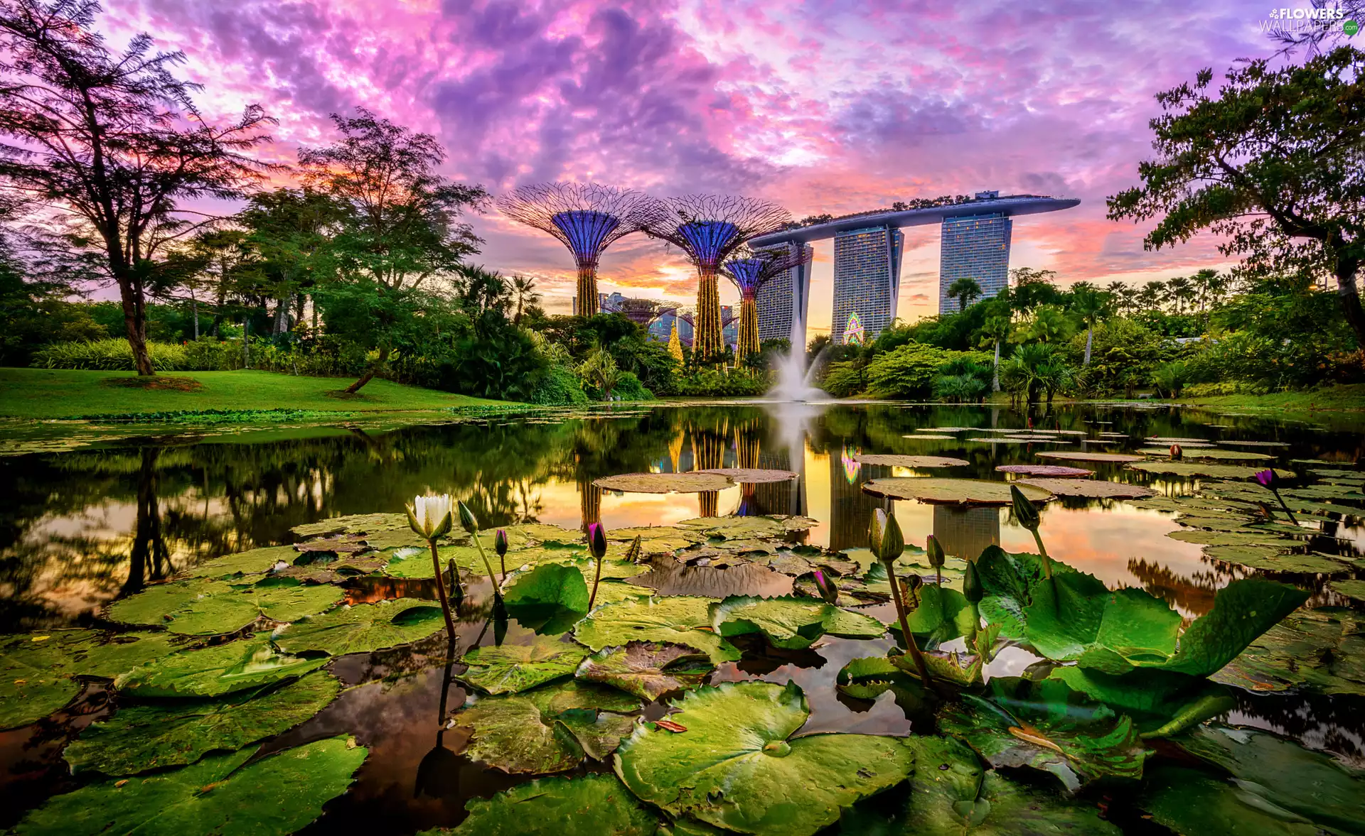 Gardens by the Bay, Singapur, Water lilies, Hotel Marina Bay Sands, Pond - car