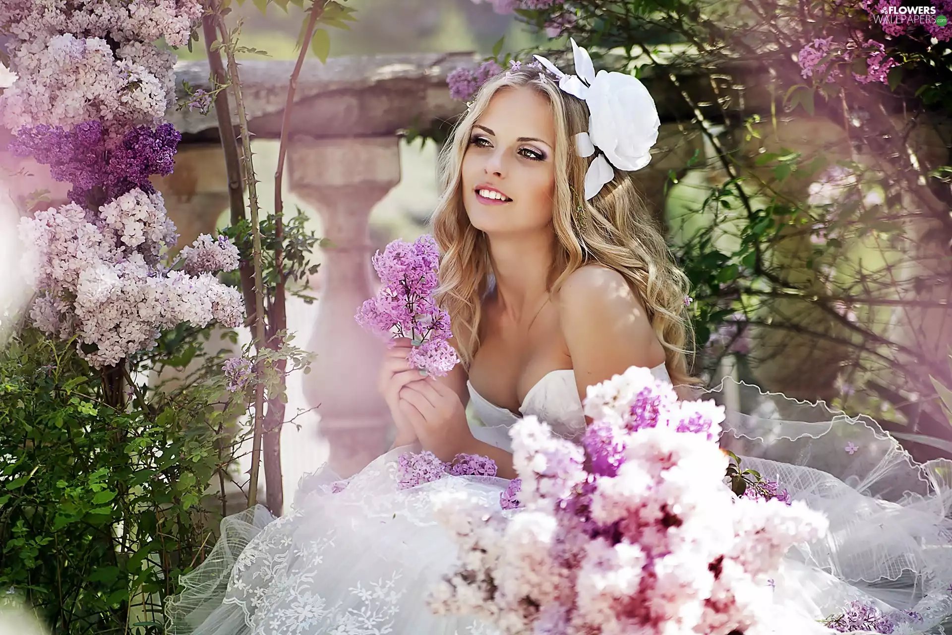 Beauty, Garden, Women, lady, rose, blur, Twigs, lilac, young