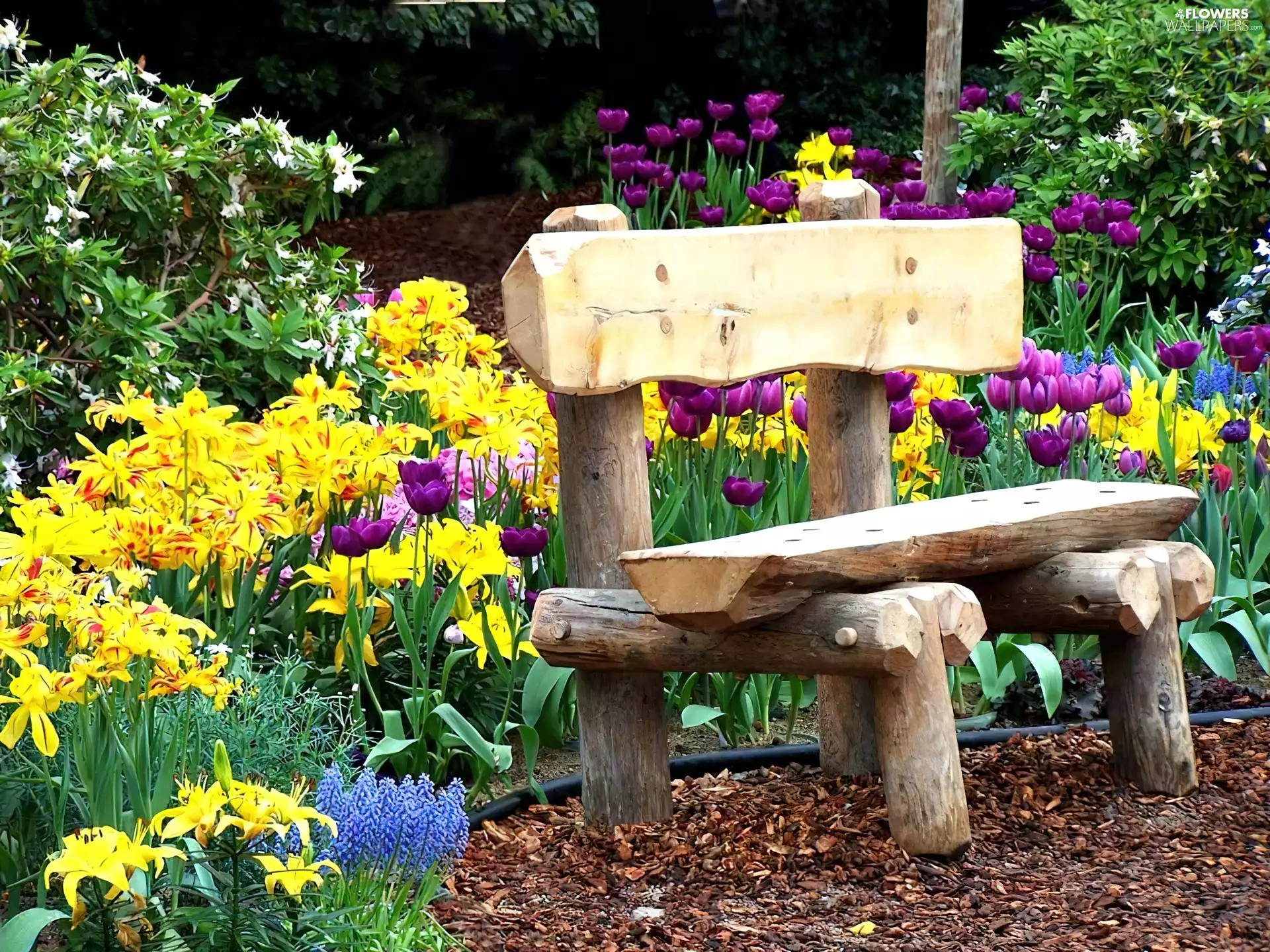 Bench, garden, floral