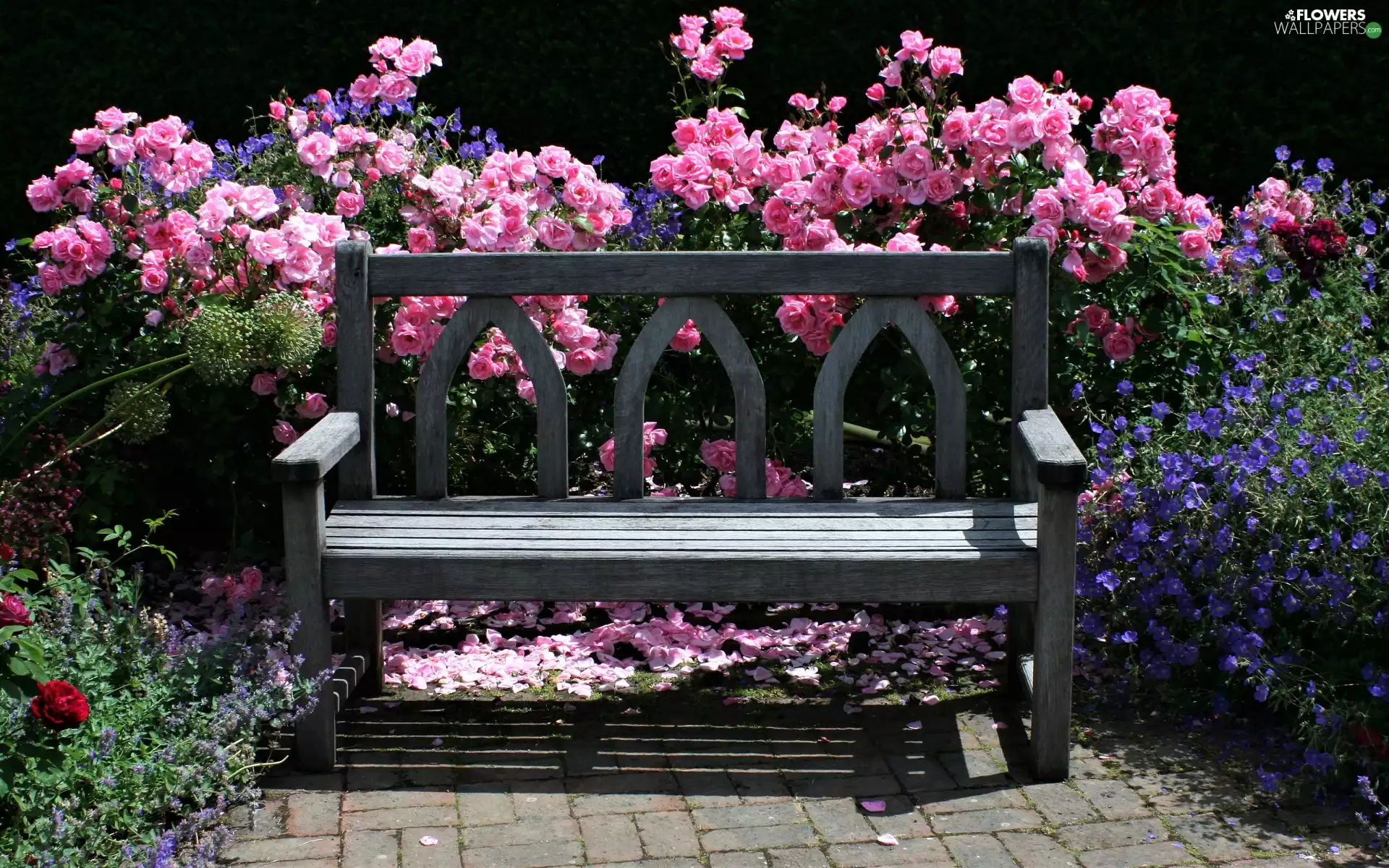 Bush, Bench, Flowers, roses, Garden