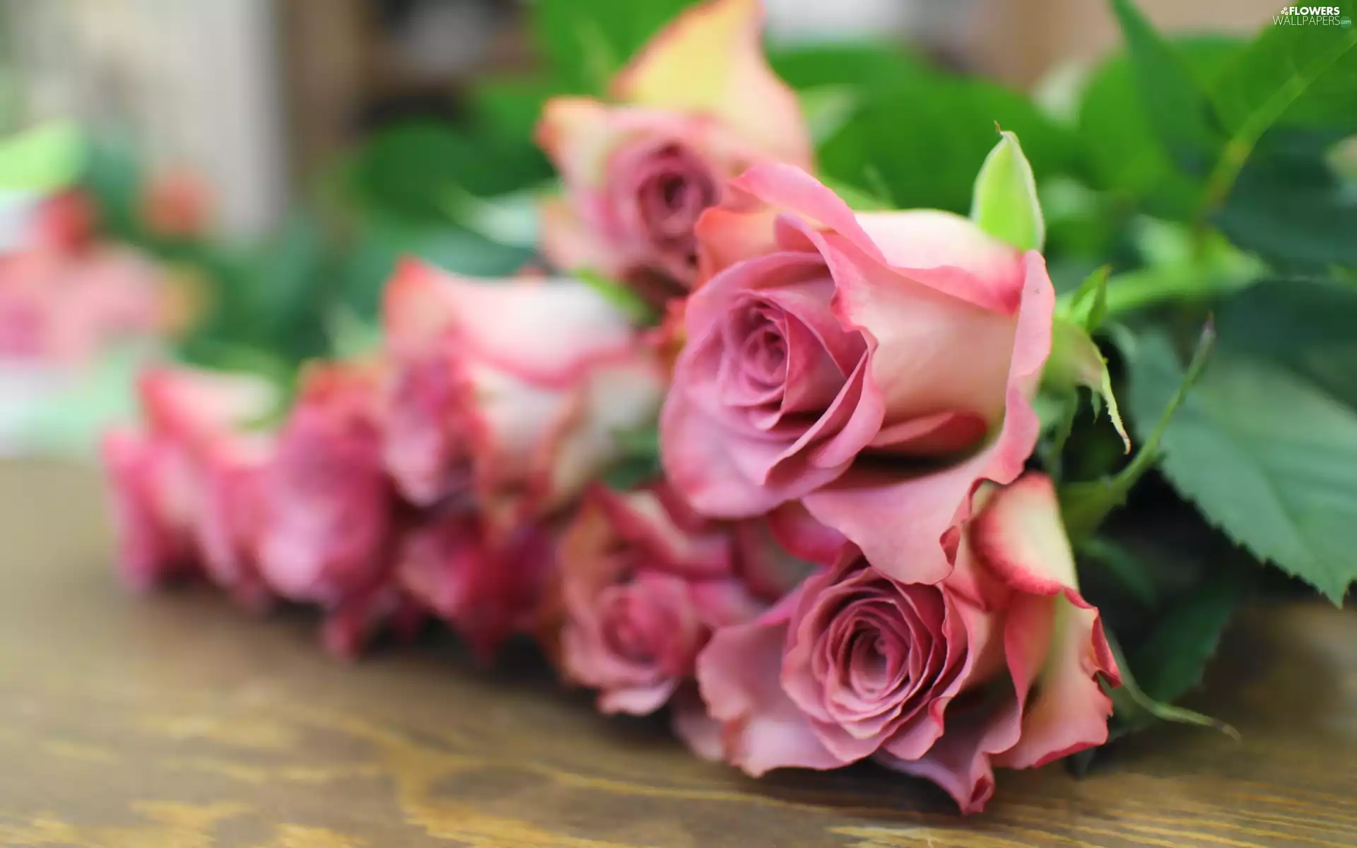 Close, Bench, pink, rouge, bouquet