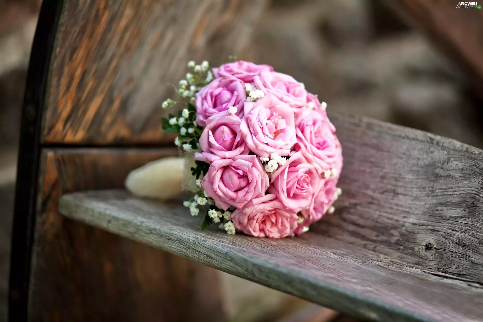 Bench, Flowers, roses