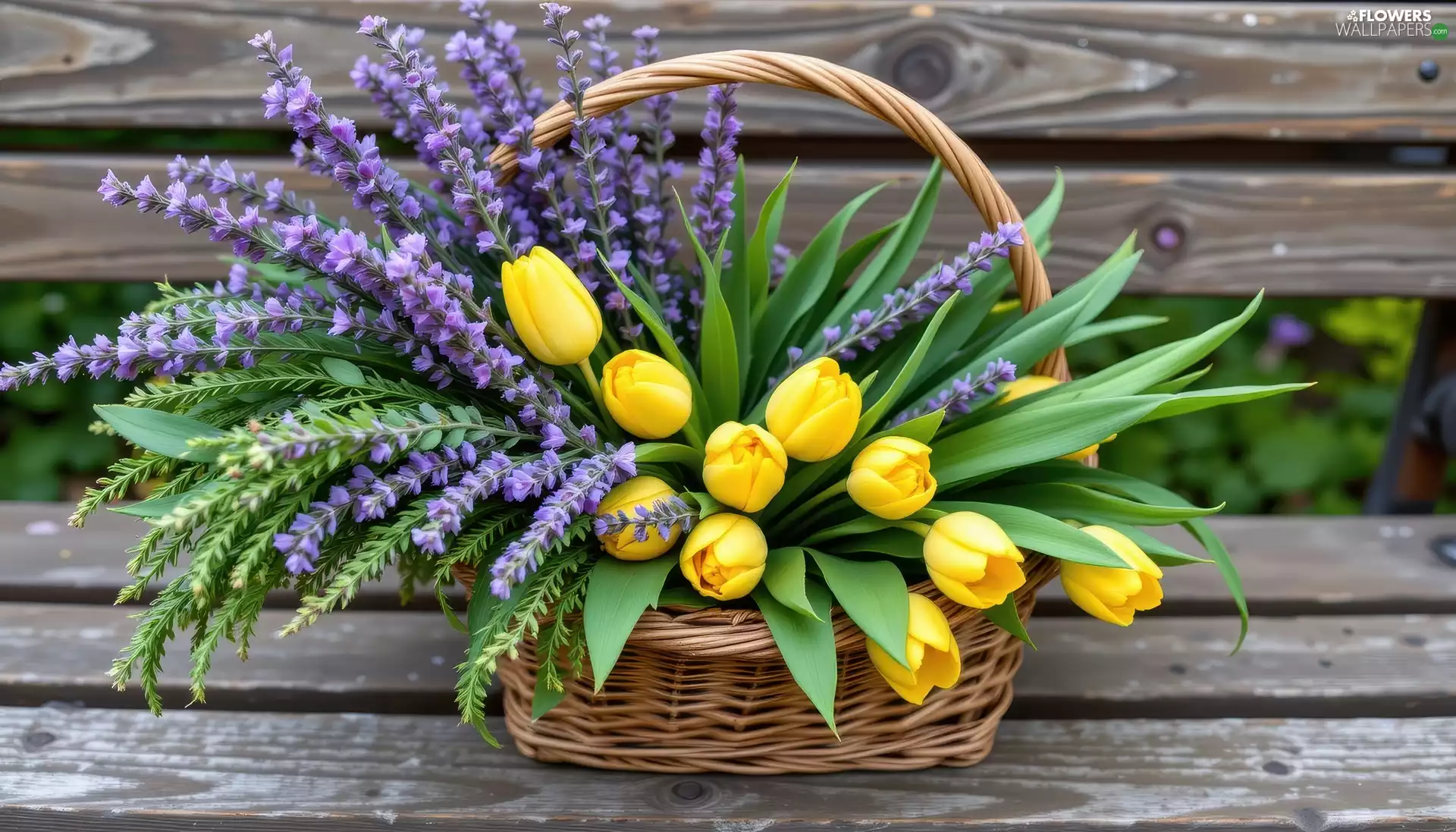 basket, Bench, Tulips, lavender, Yellow