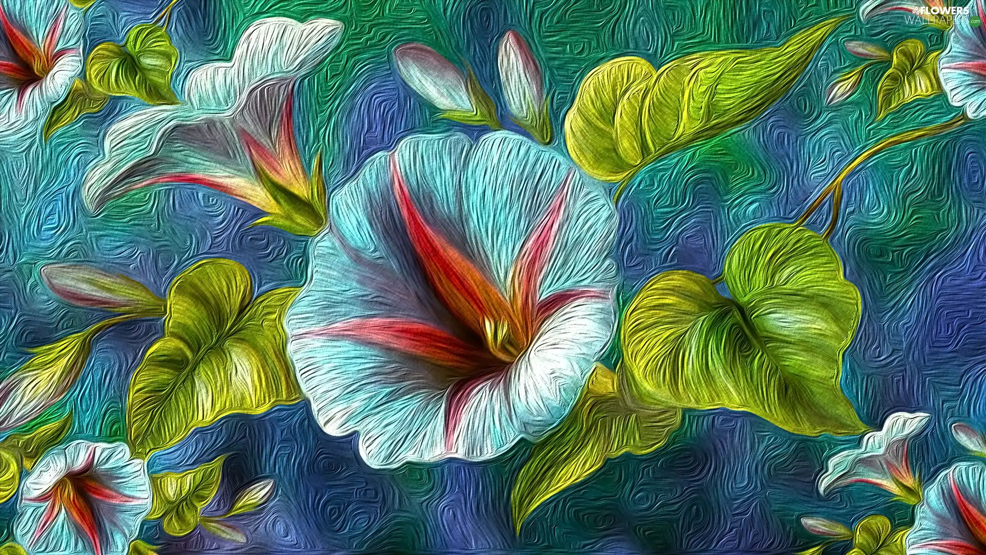 Flowers, Leaf, graphics, bindweed