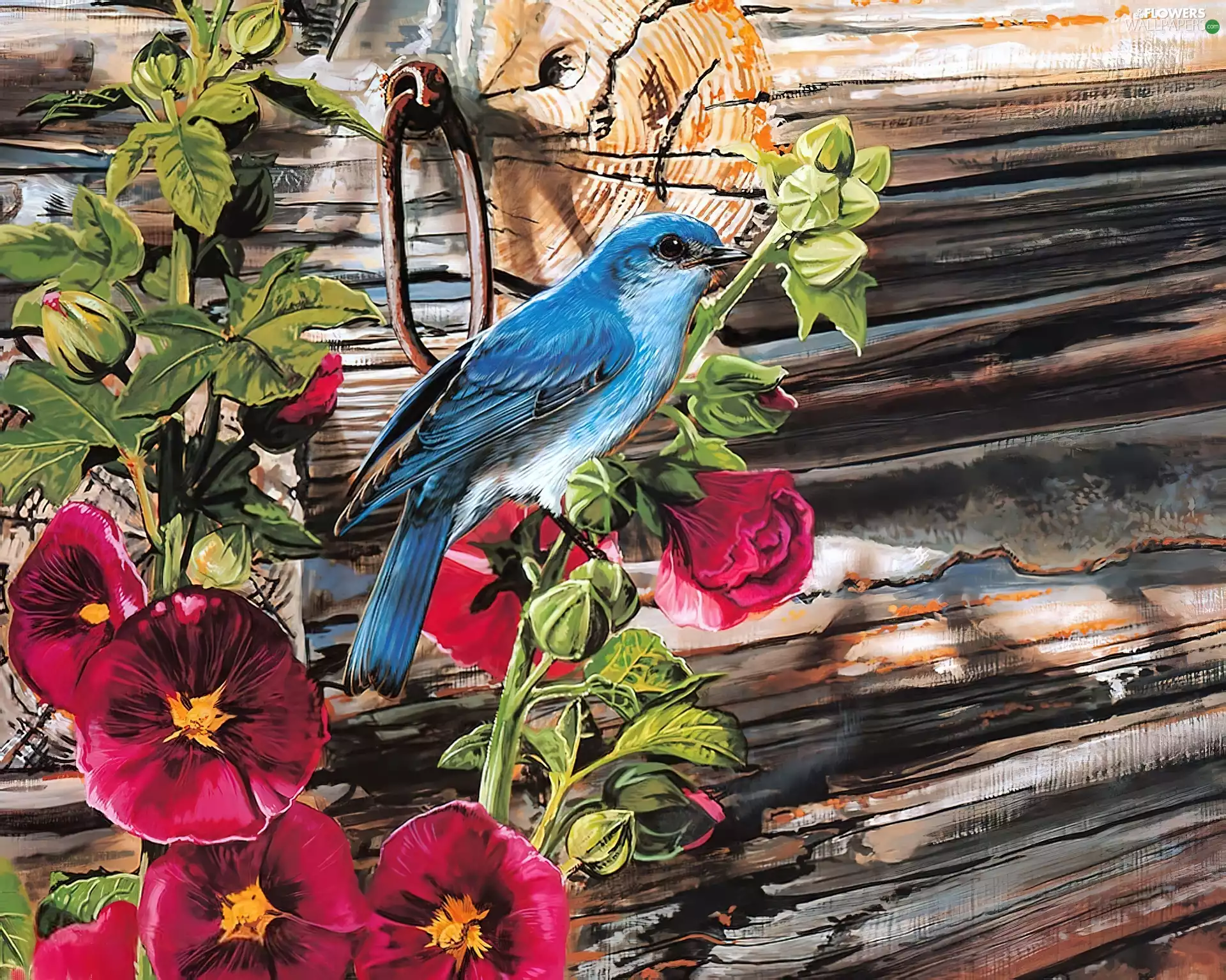 blue, Bird, Flowers, Hollyhocks, Red