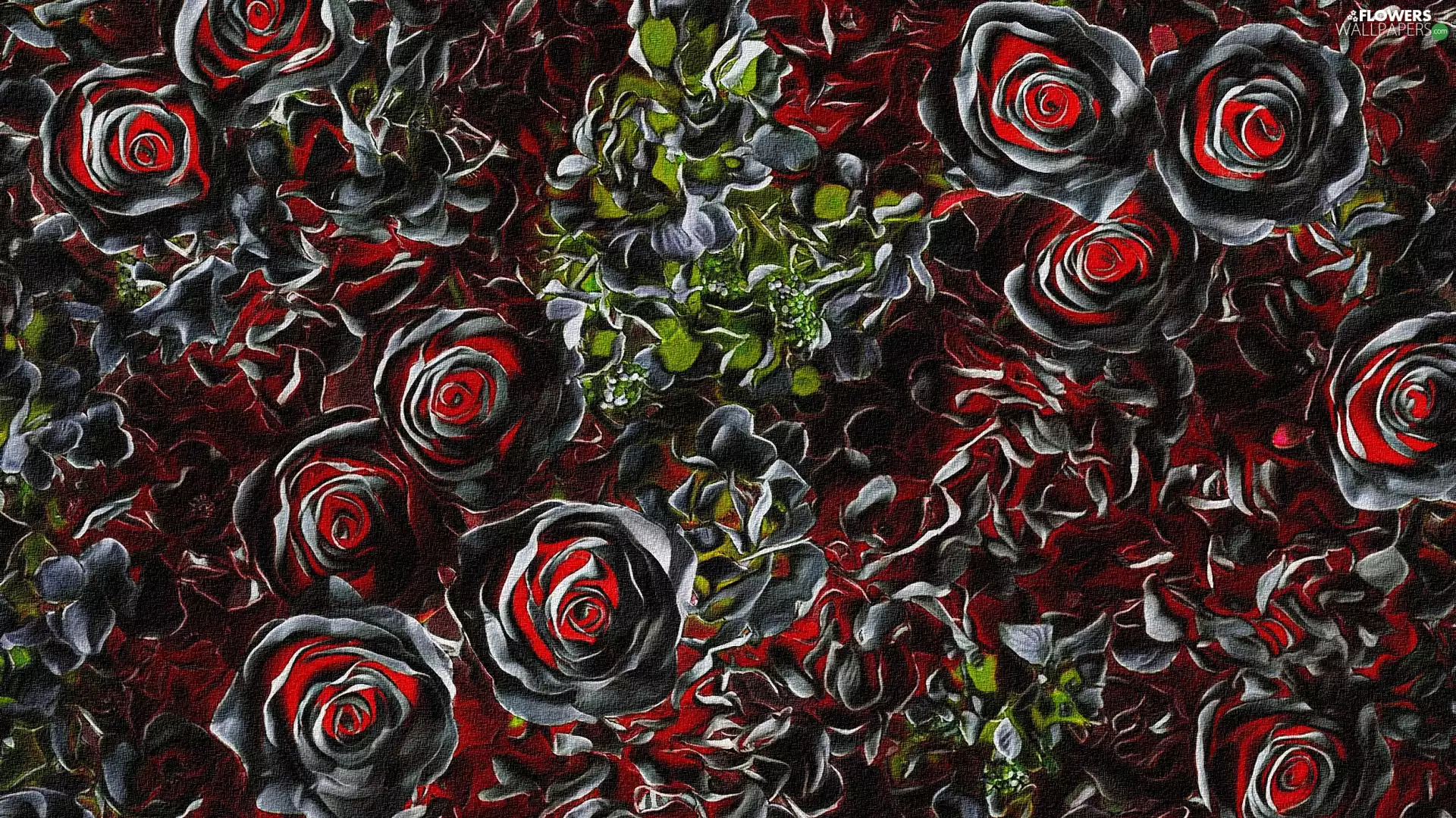 Flowers, roses, graphics, Black and Red