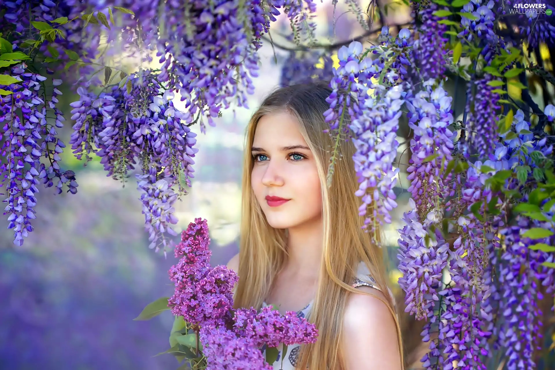 twig, Water Wisteria, Blonde, wistaria, Women