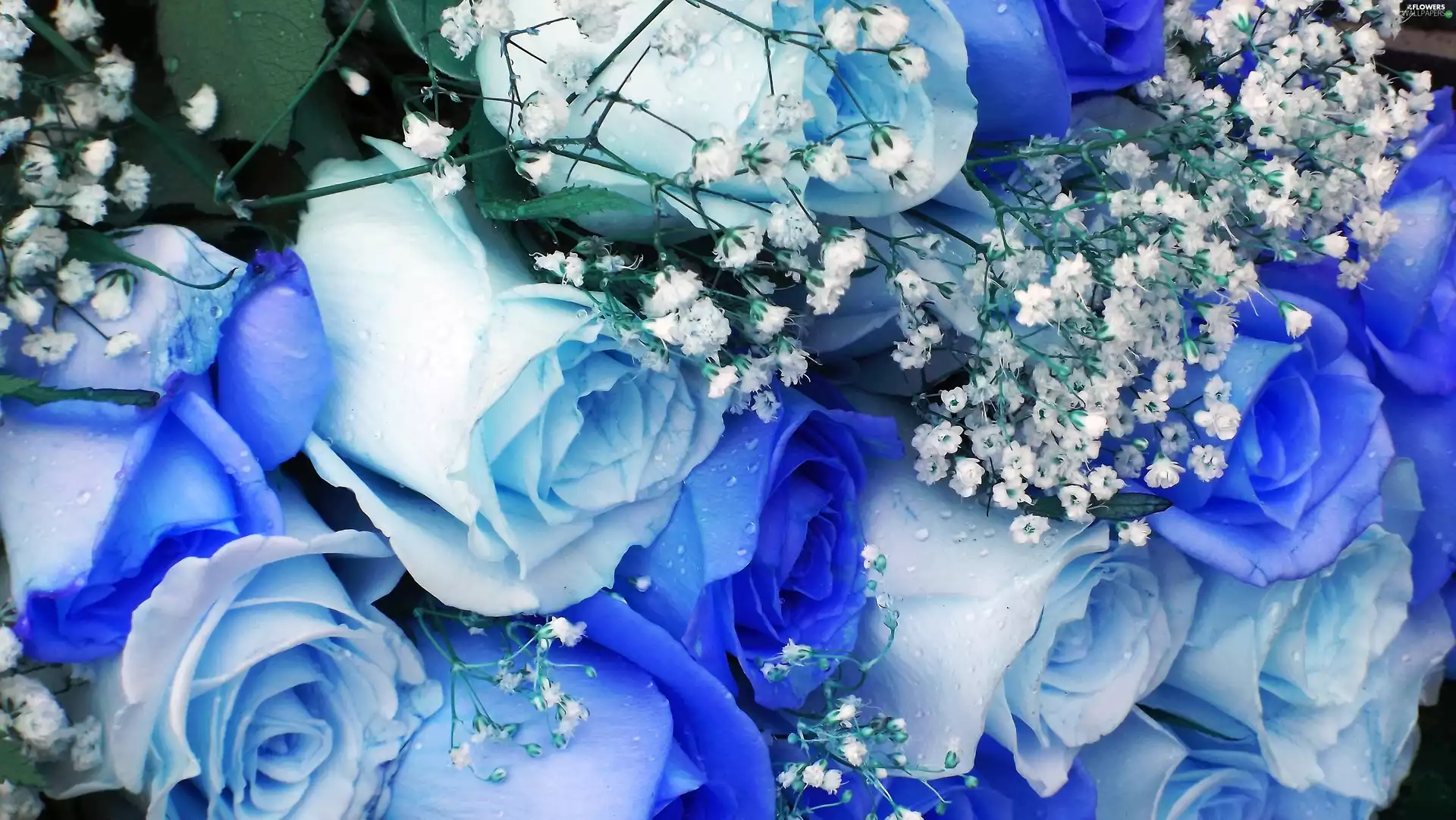 Blue, bouquet