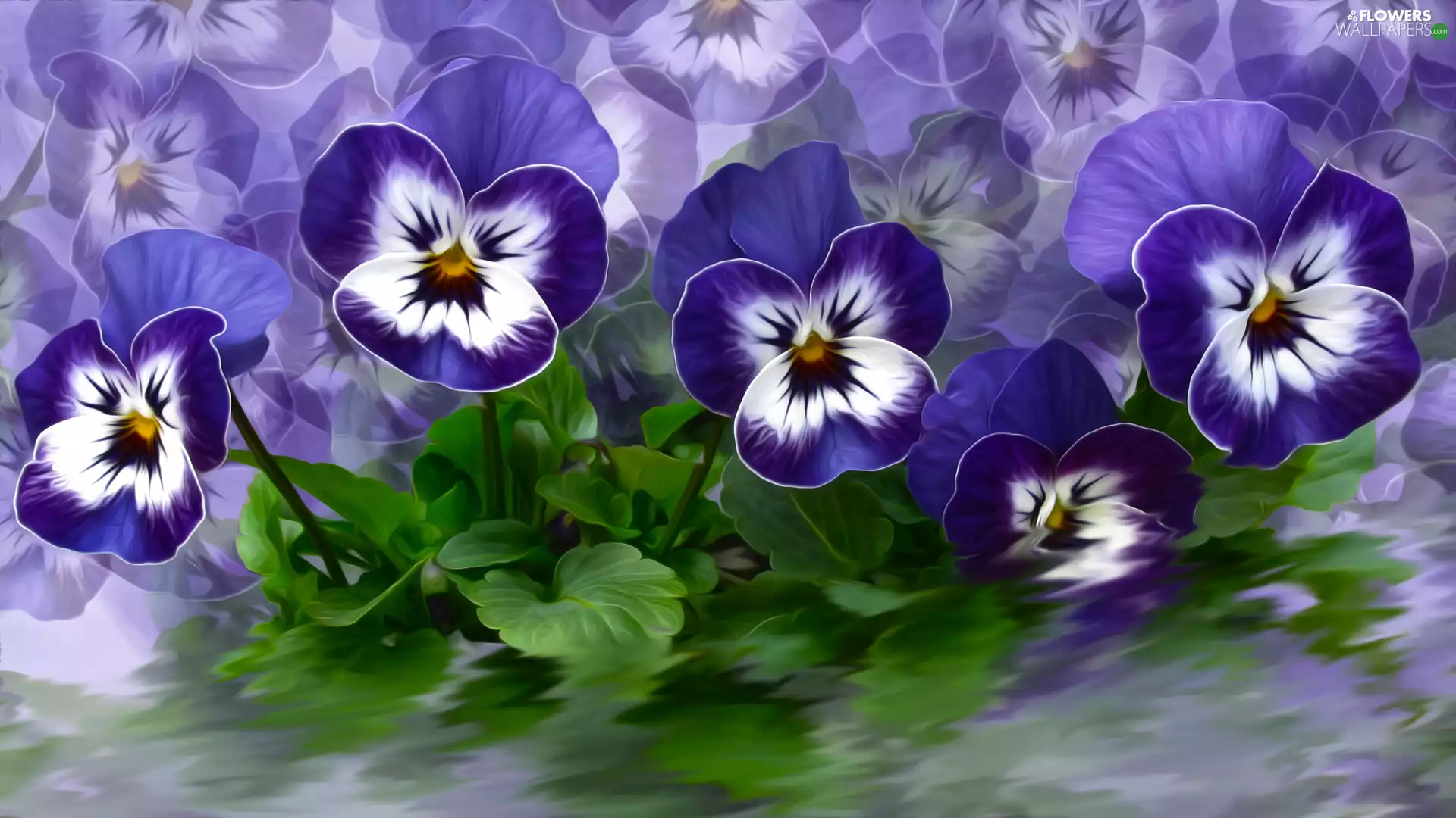 Flowers, pansies, graphics, Blue
