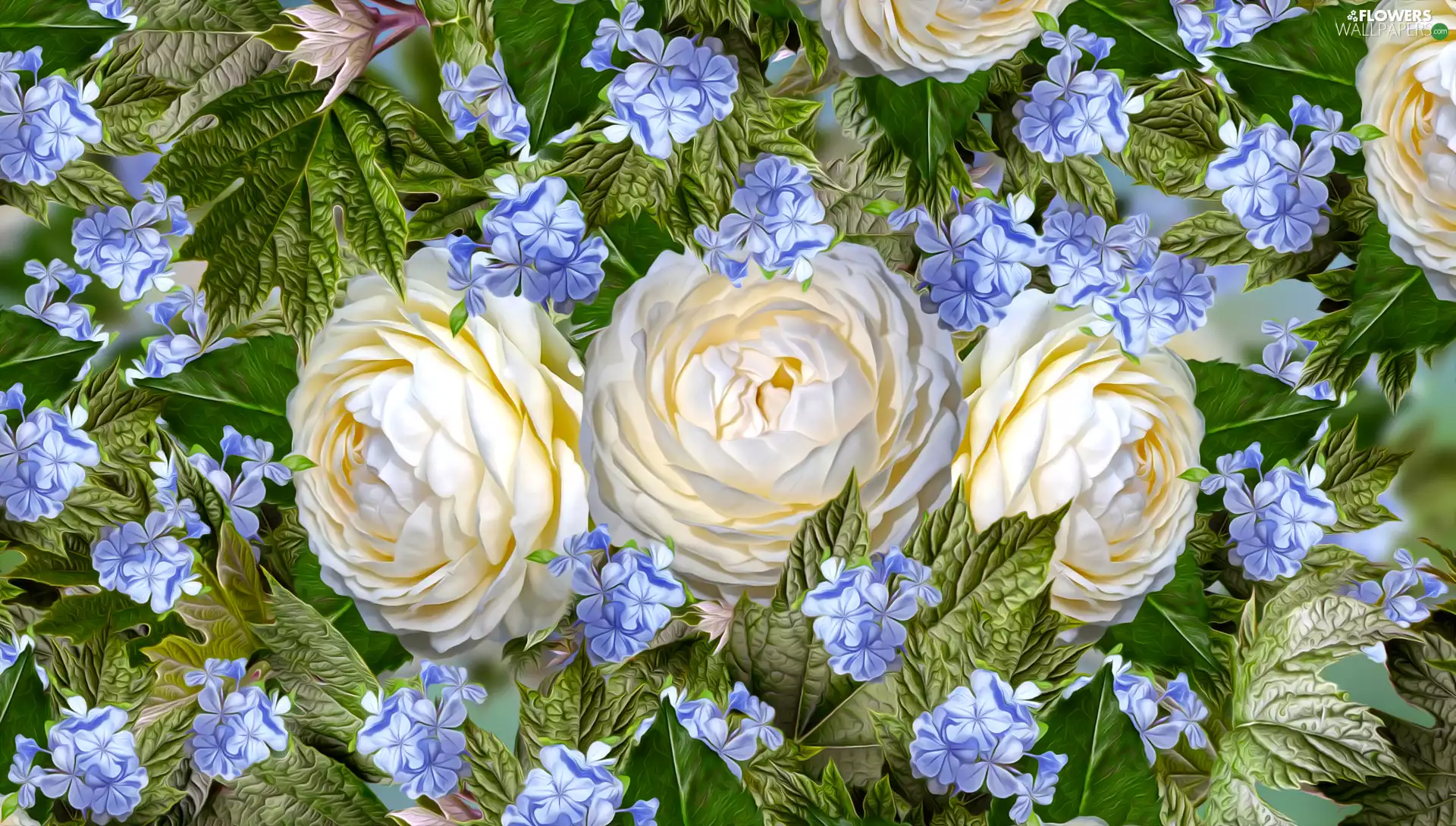 White, roses, graphics, Leaf, Flowers, Three, Flowers, Blue