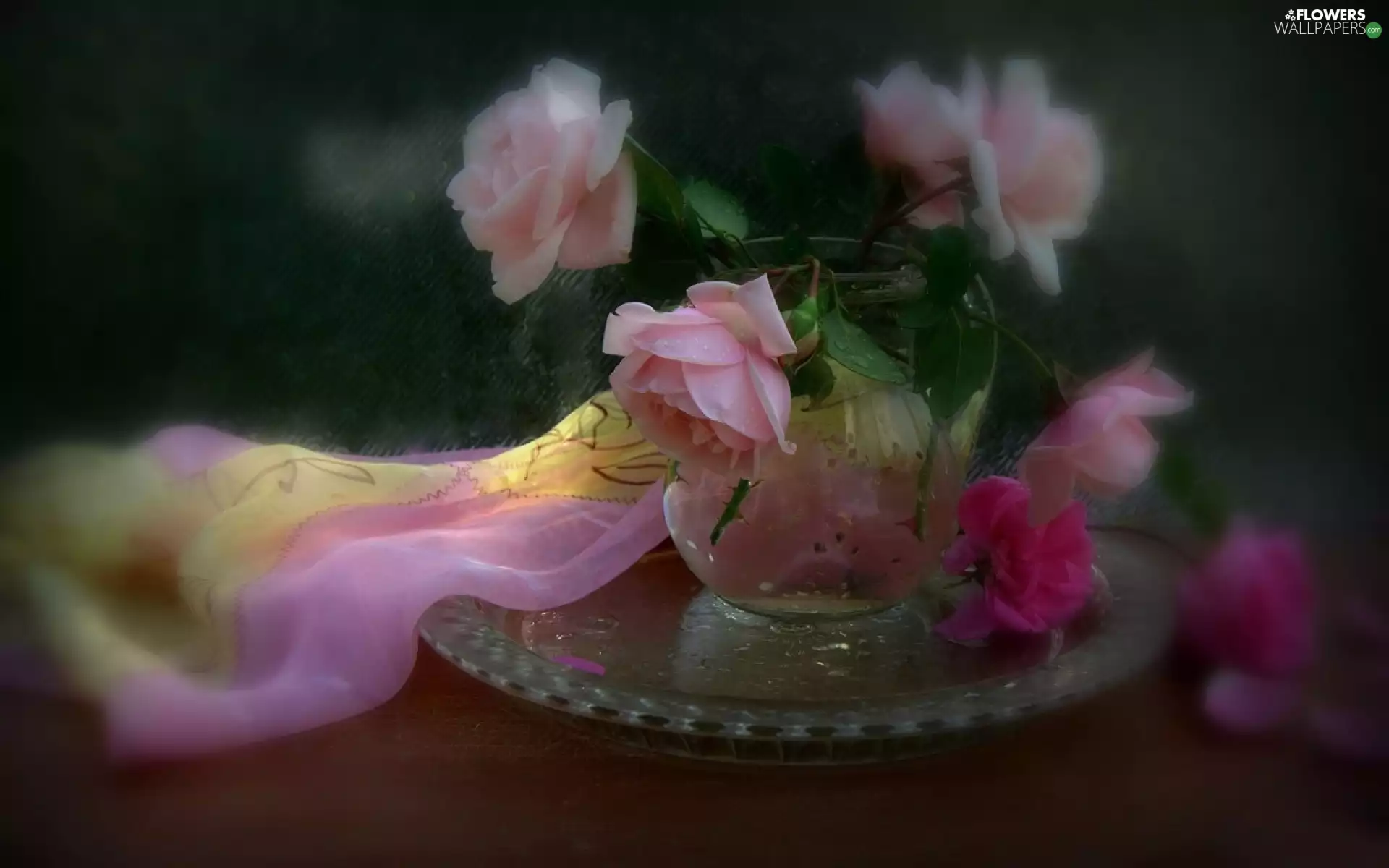 apatite, blur, roses, Vase, Flowers