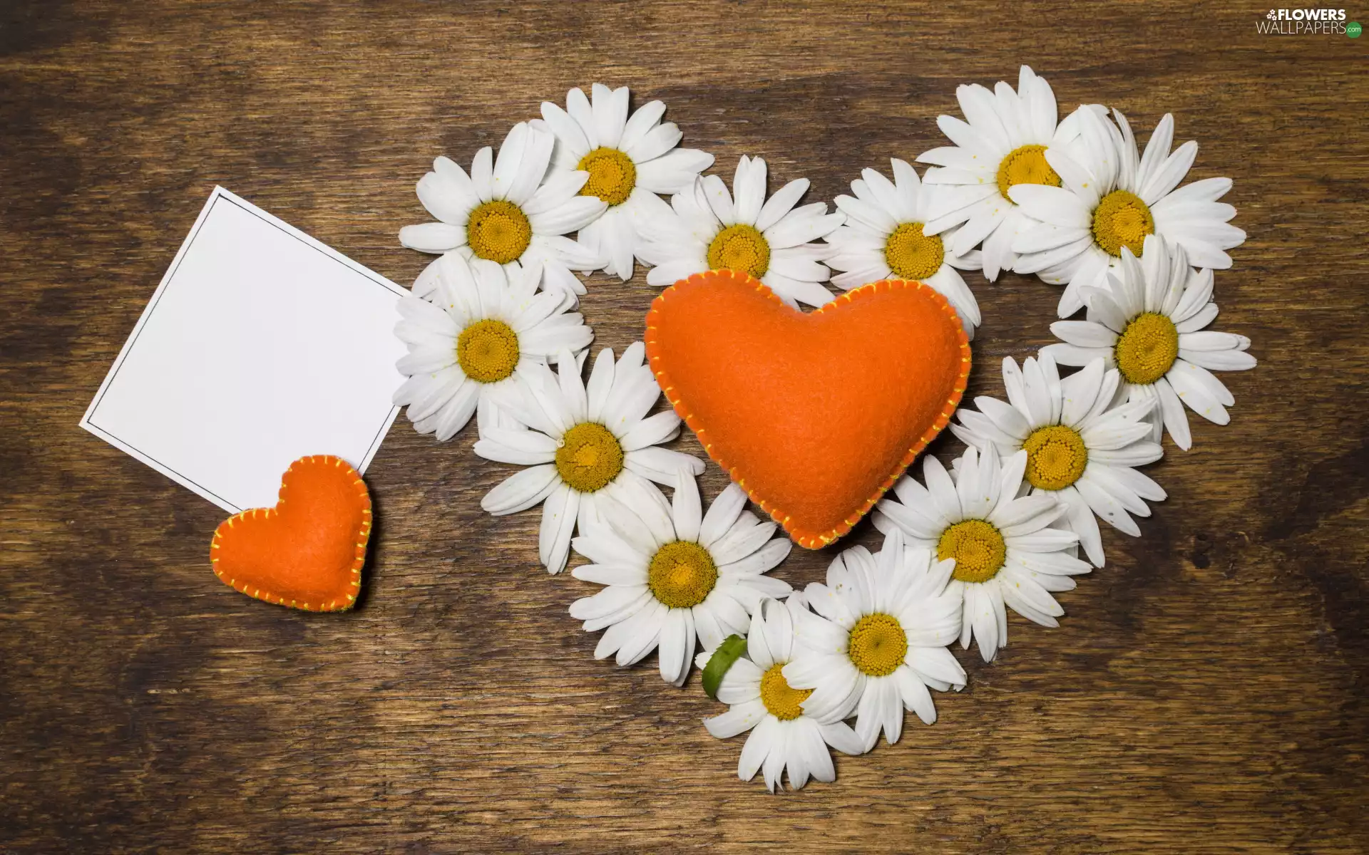 Orange, Flowers, panels, board, heart, daisy