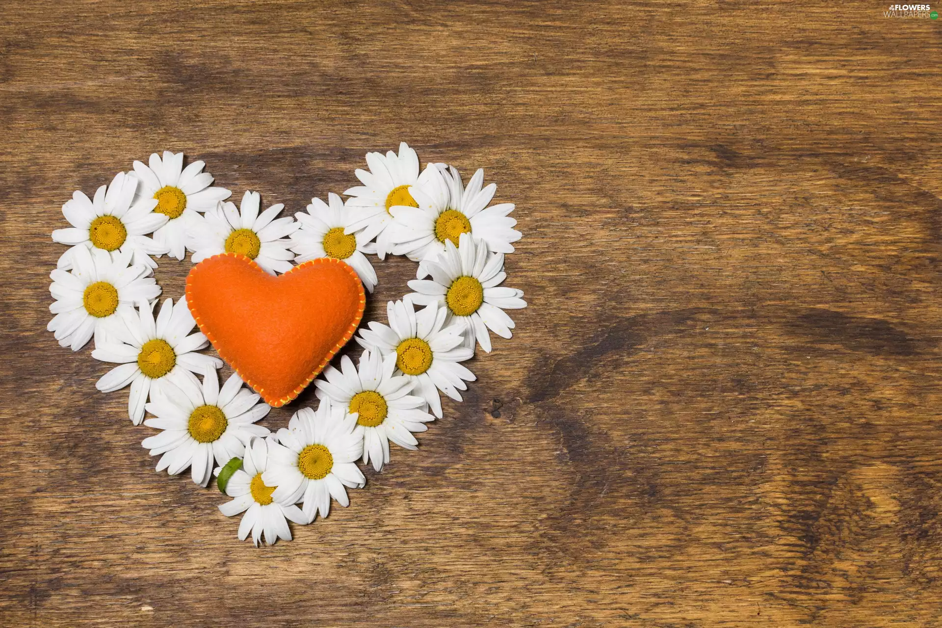 Orange, Flowers, Pillow, board, Heart, daisy