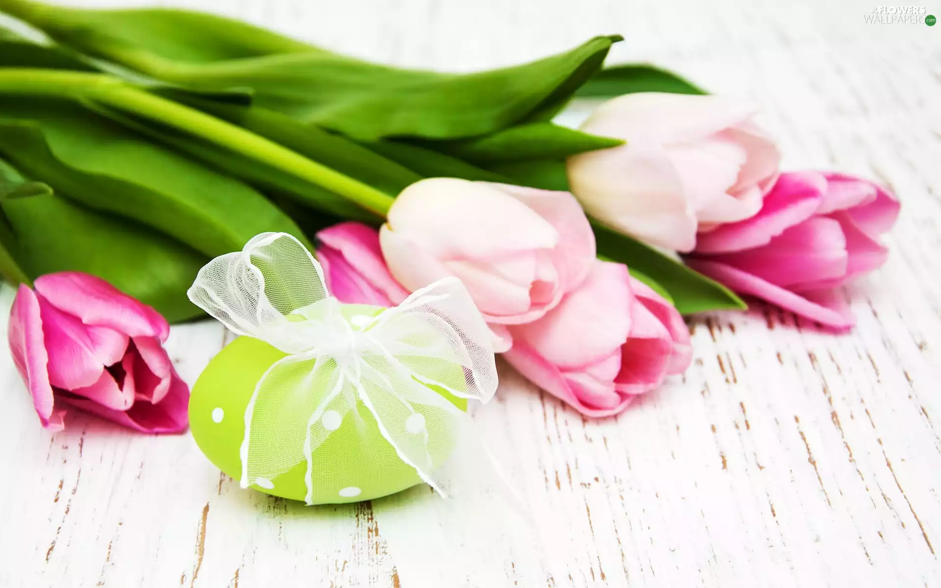 Tulips, Easter, bow, boarding, Easter egg, Pink