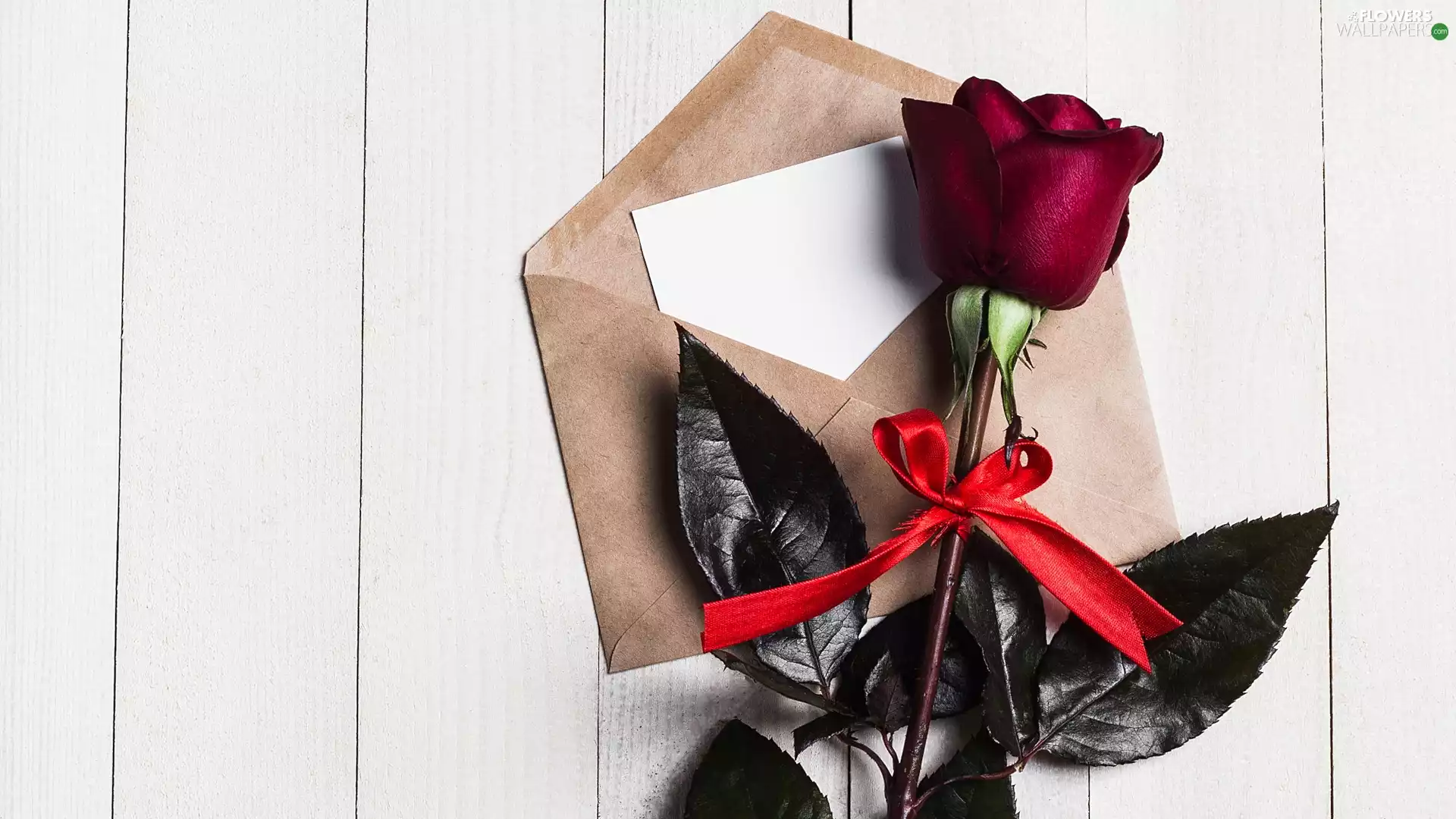 envelope, rose, card, ribbon, red hot, White, boarding