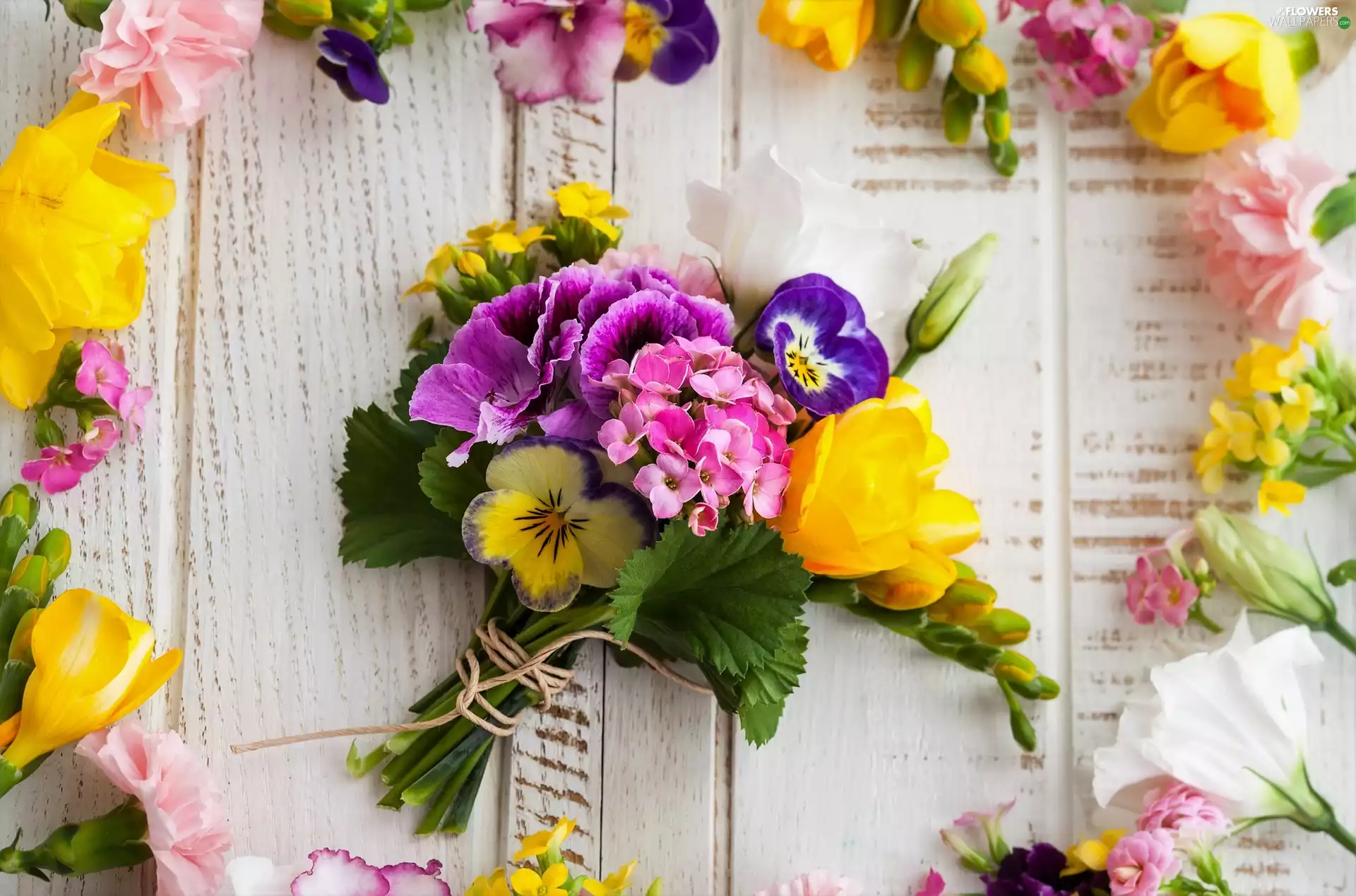 pansies, bouquet, cloves, boarding, Flowers, Freesias, Kalanchoe
