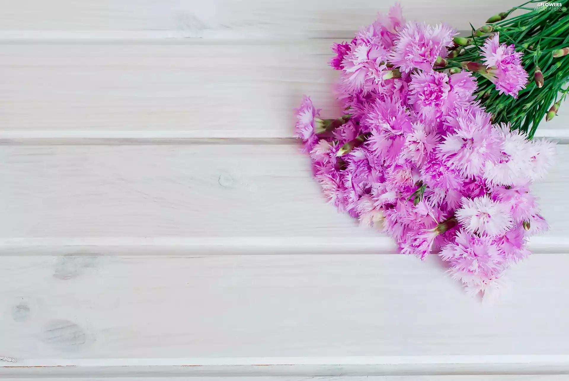 boarding, bunch, cloves