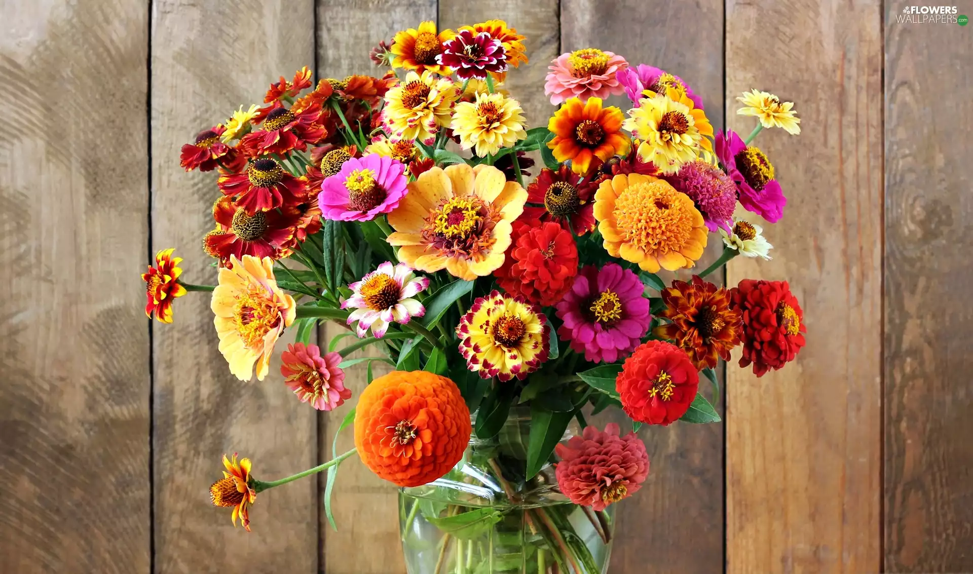 Flowers, bouquet, Helenium, boarding, Zinnias, color