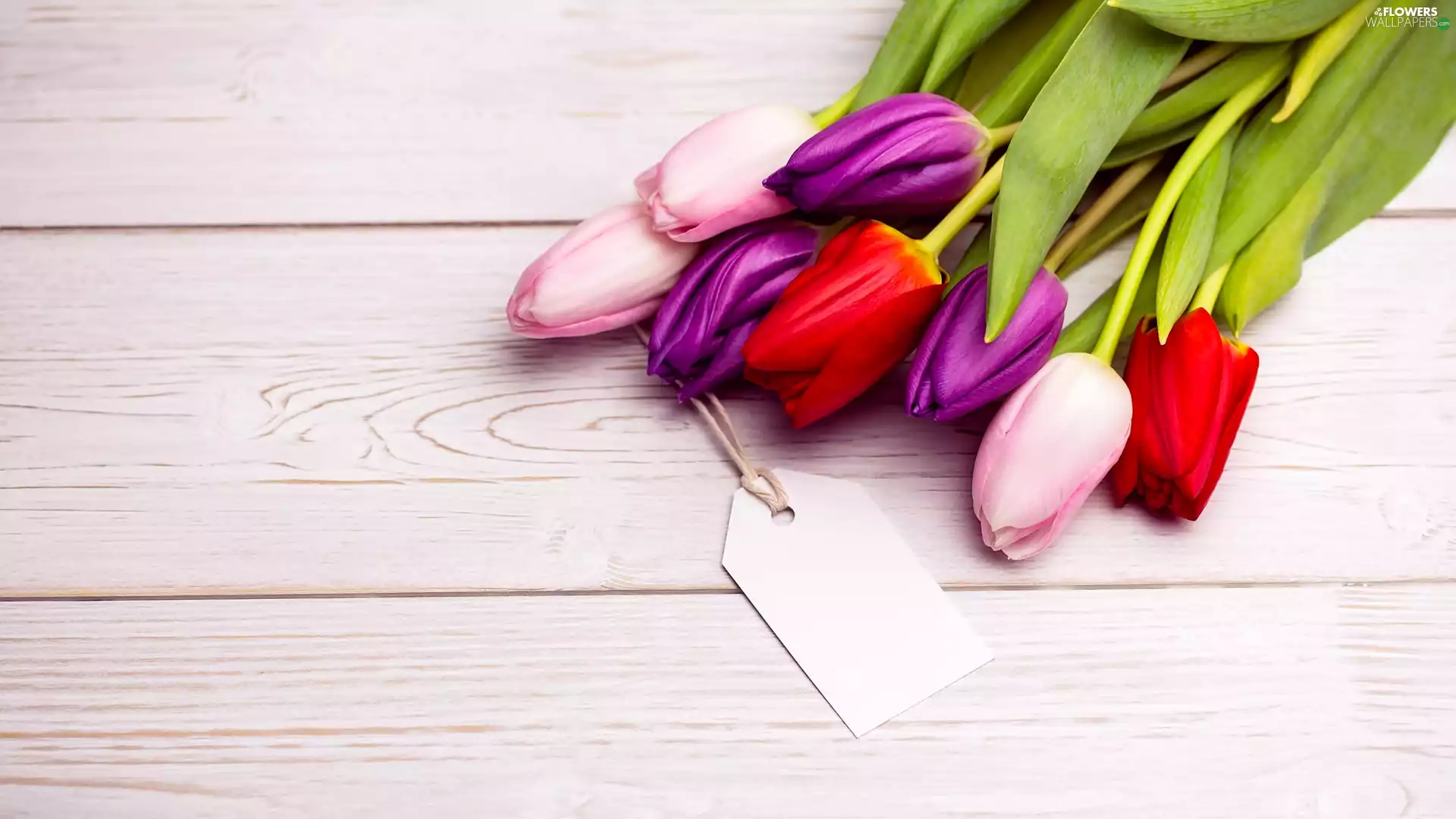 scribble, boarding, color, Pendant, Tulips