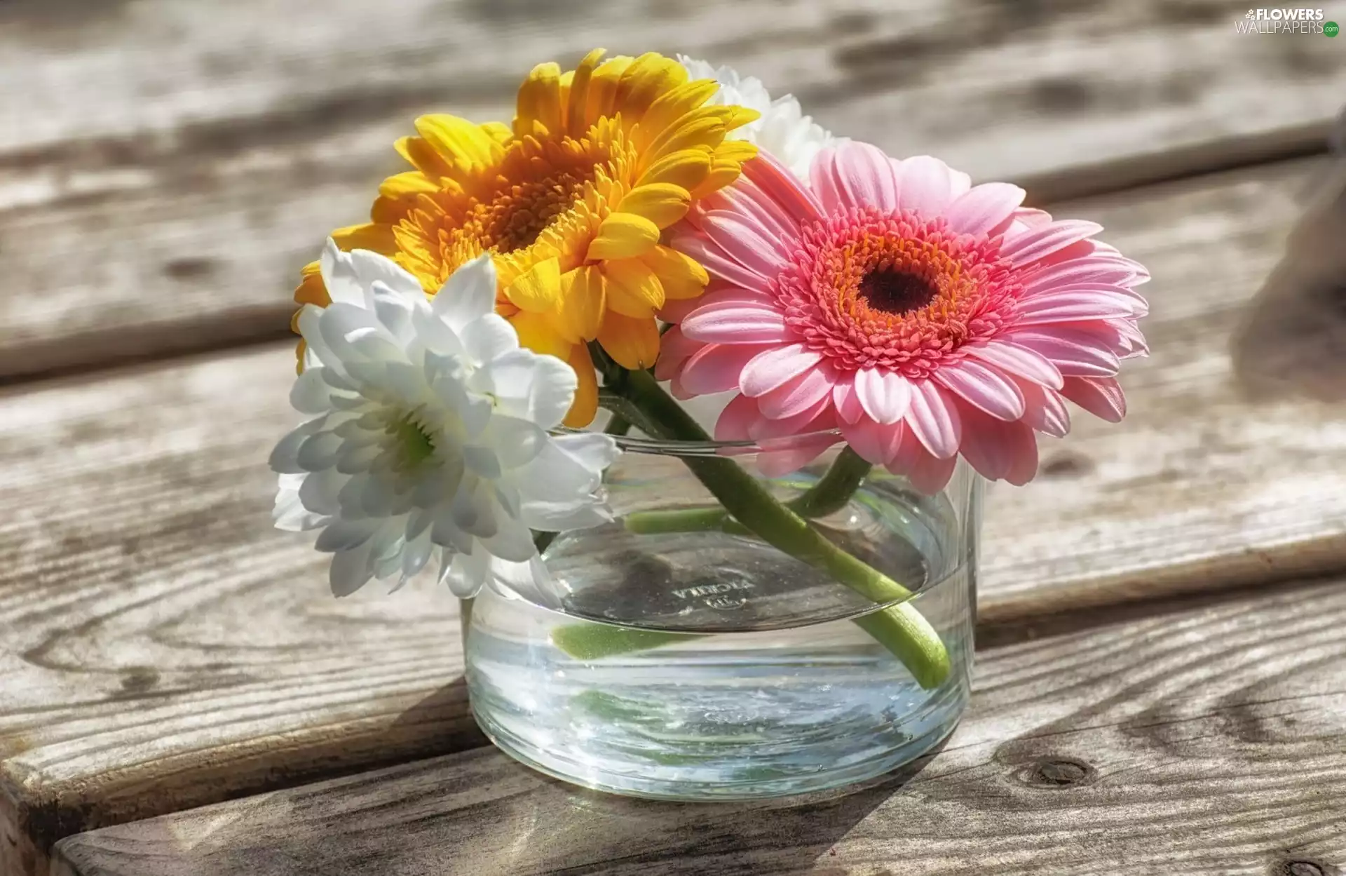gerberas, Flowers, vase, boarding, glass, color