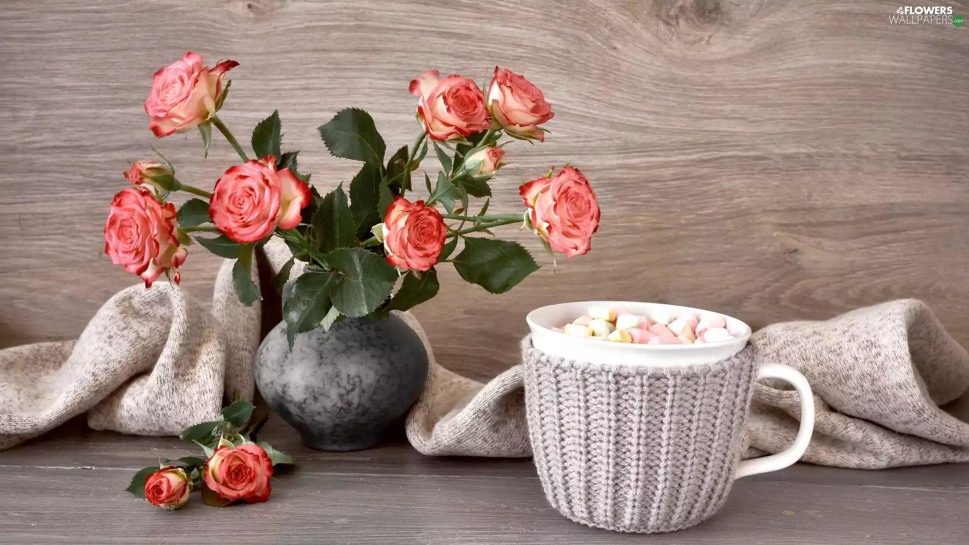 Vase, Cup, composition, Foams, stuff, roses, Flowers, boarding