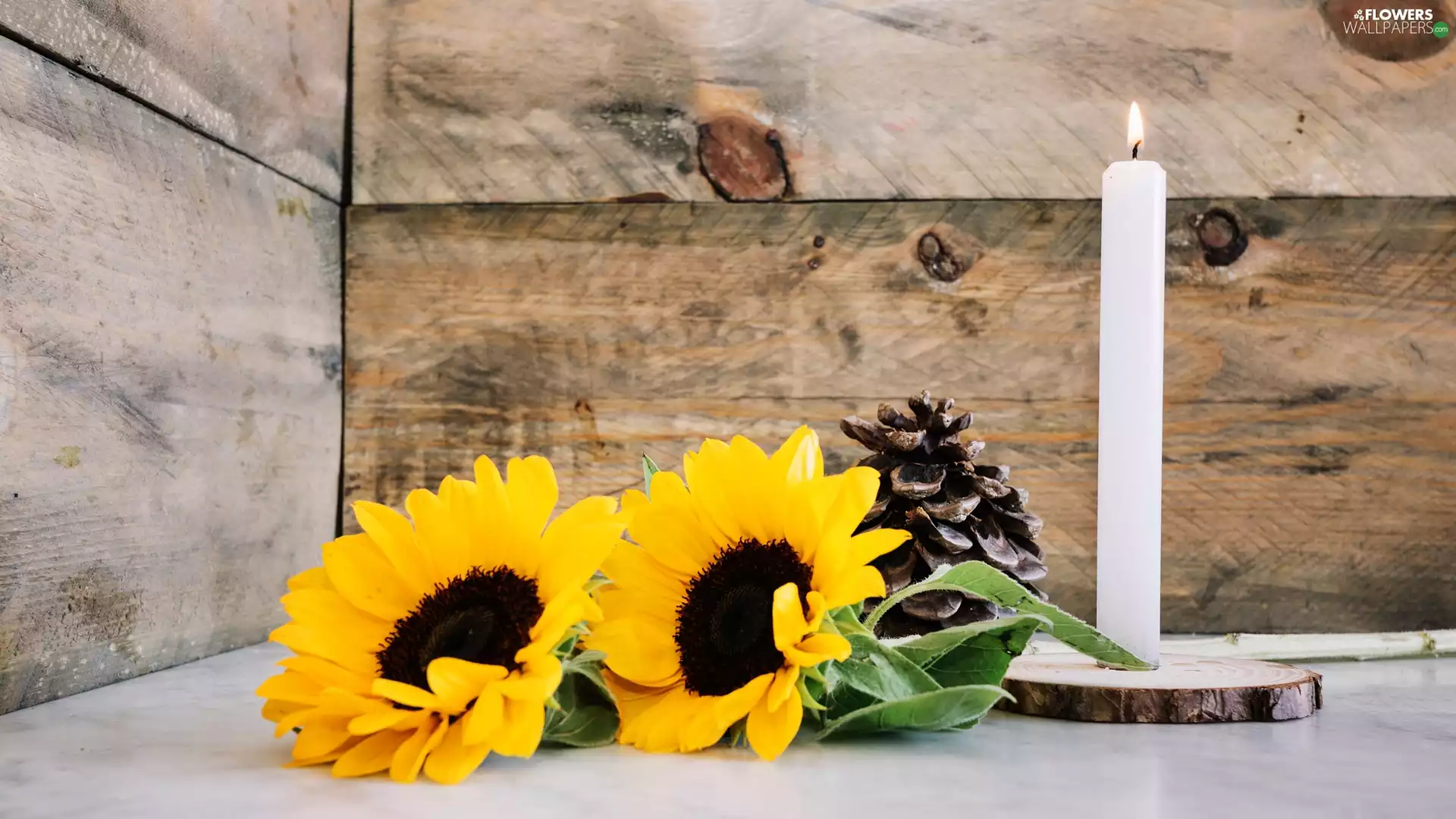 White, composition, cone, boarding, Candle, Nice sunflowers