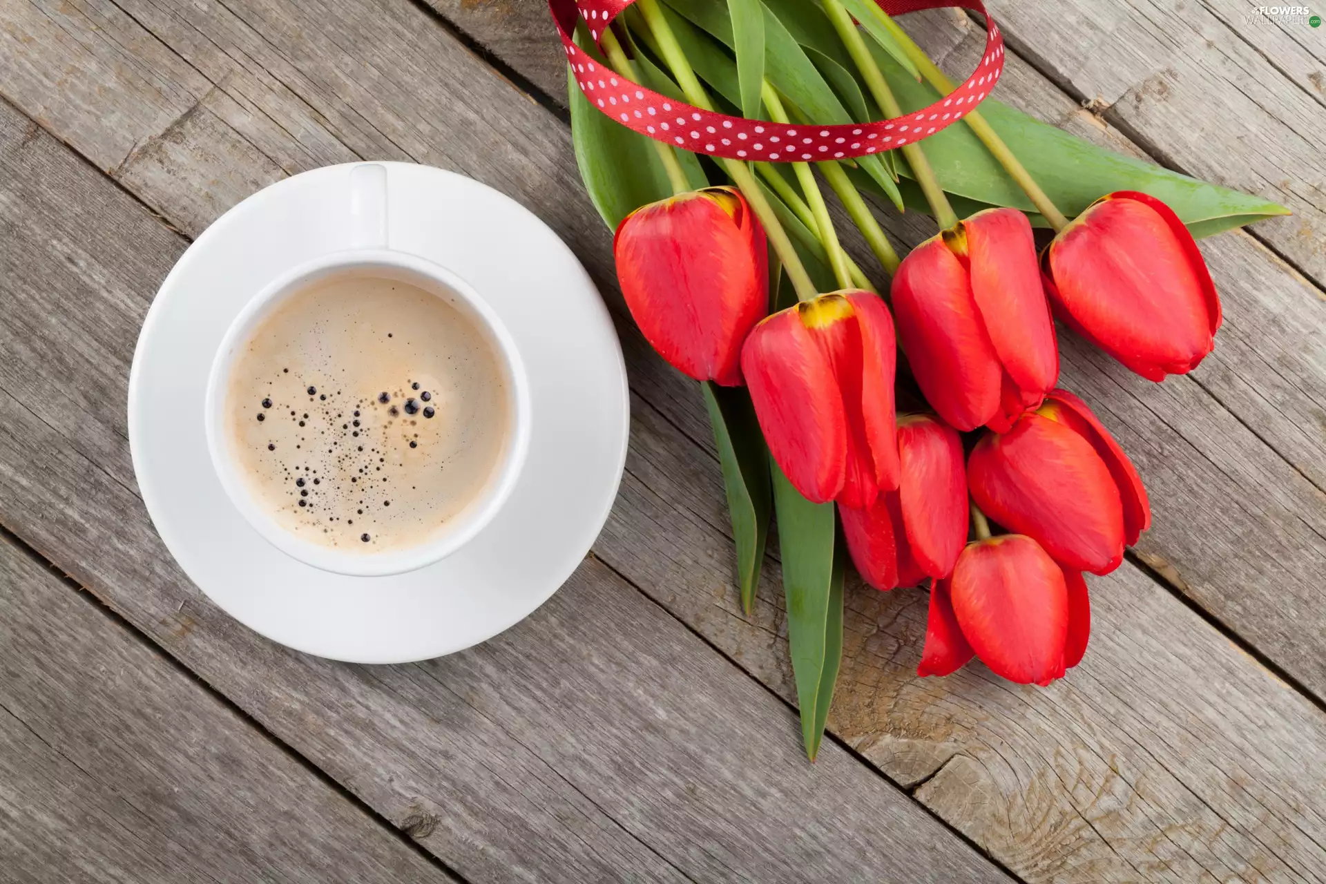 Tulips, boarding, cup, Red, coffee