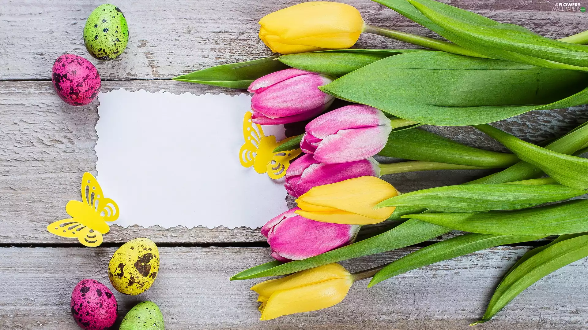 card, Easter, butterfly, boarding, Tulips, eggs