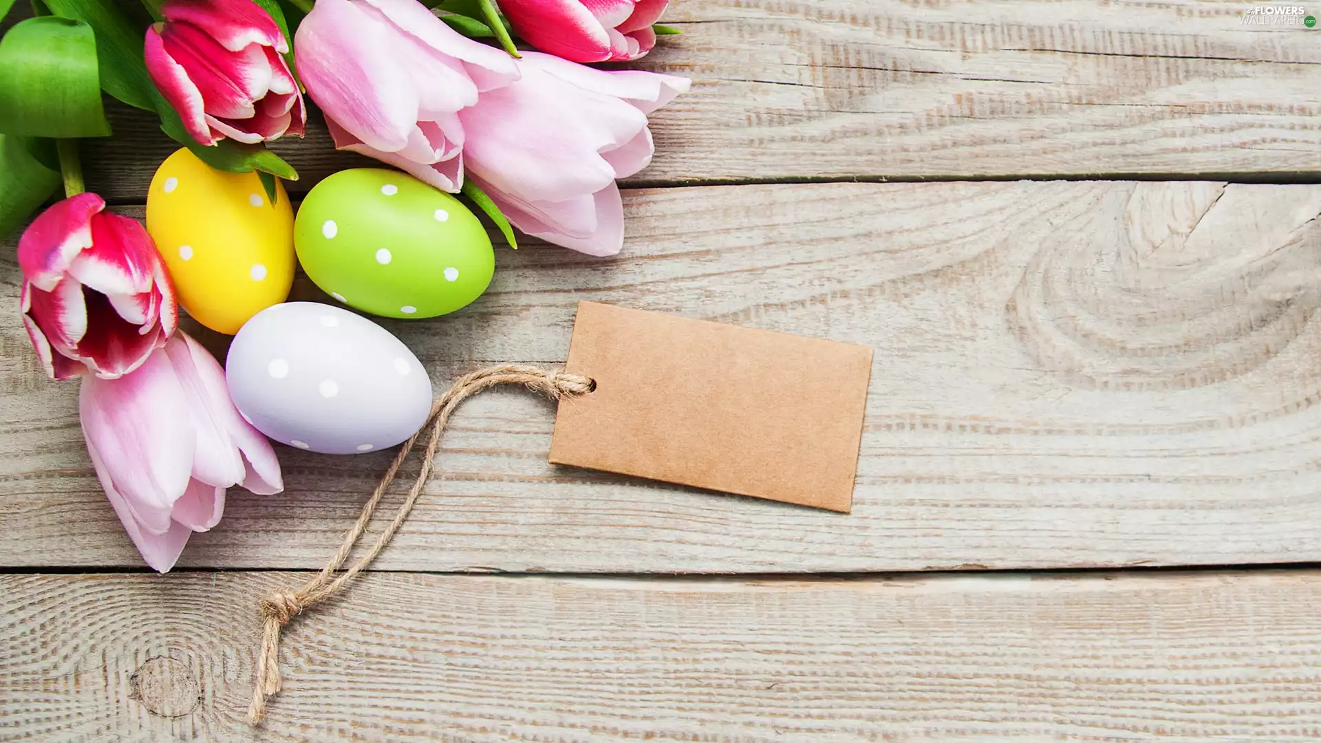 twine, boarding, eggs, box, Tulips