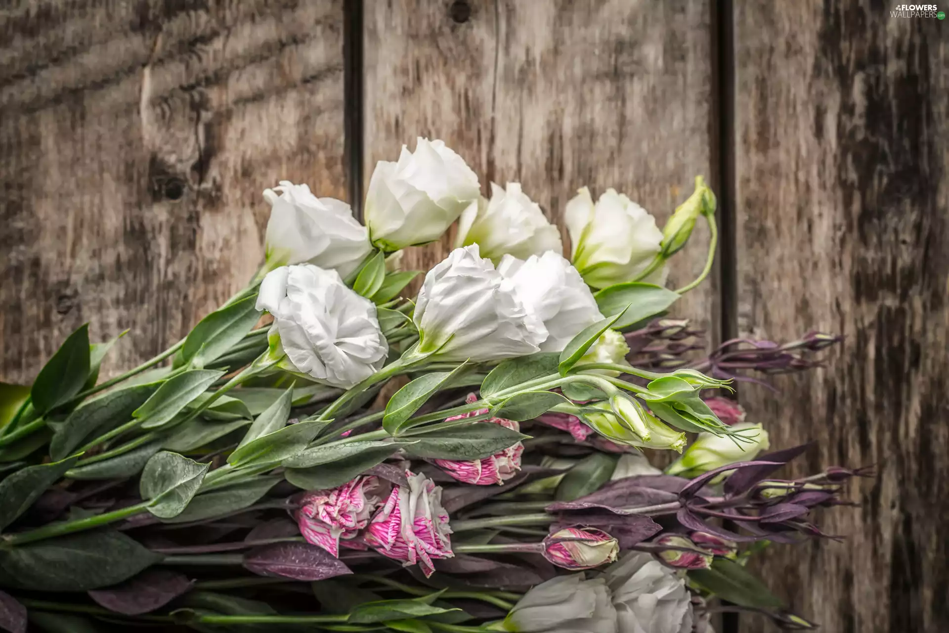 boarding, bouquet, Eustoma