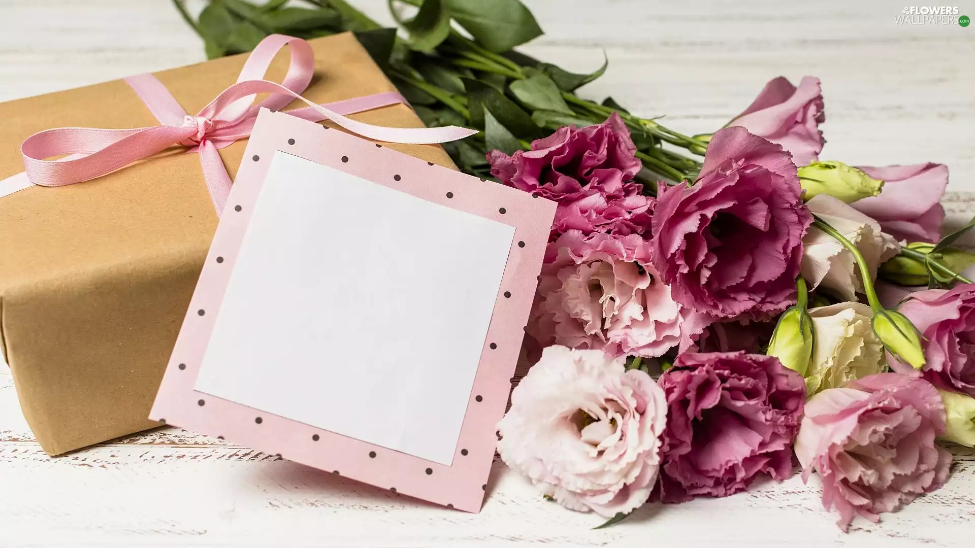 card, boarding, Eustoma, Present, Flowers