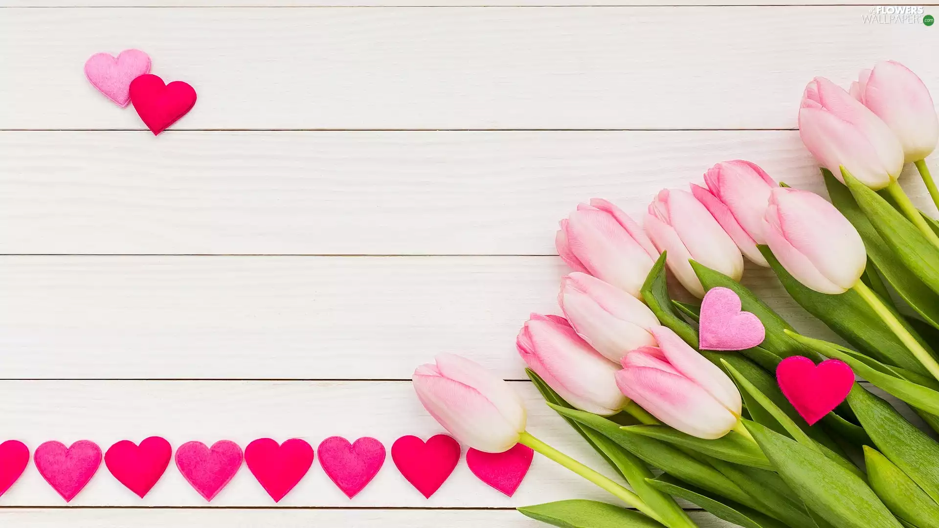 boarding, Tulips, hearts