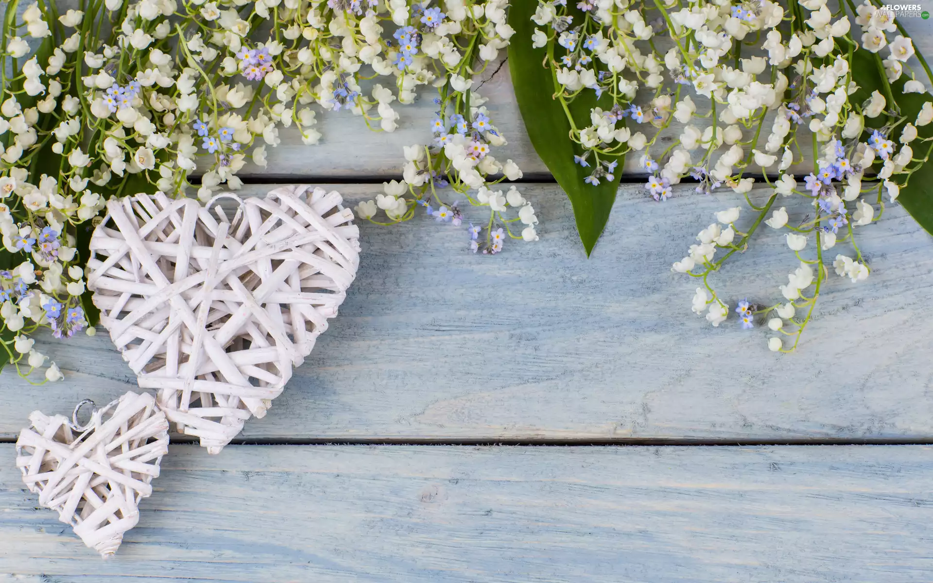 Forget, Flowers, heart, boarding, Leaf, lilies