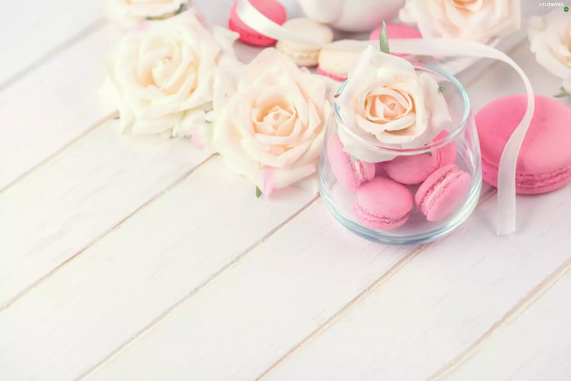Flowers, Cookies, roses, boarding, White, Macaroons