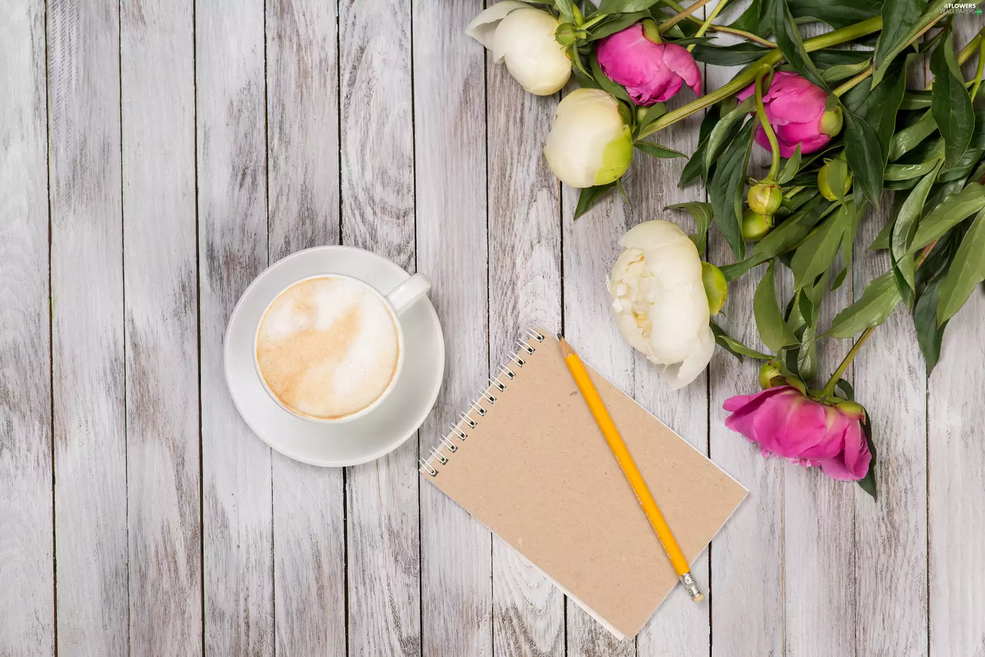 coffee, Peonies, pencil, cup, composition, note-book, boarding