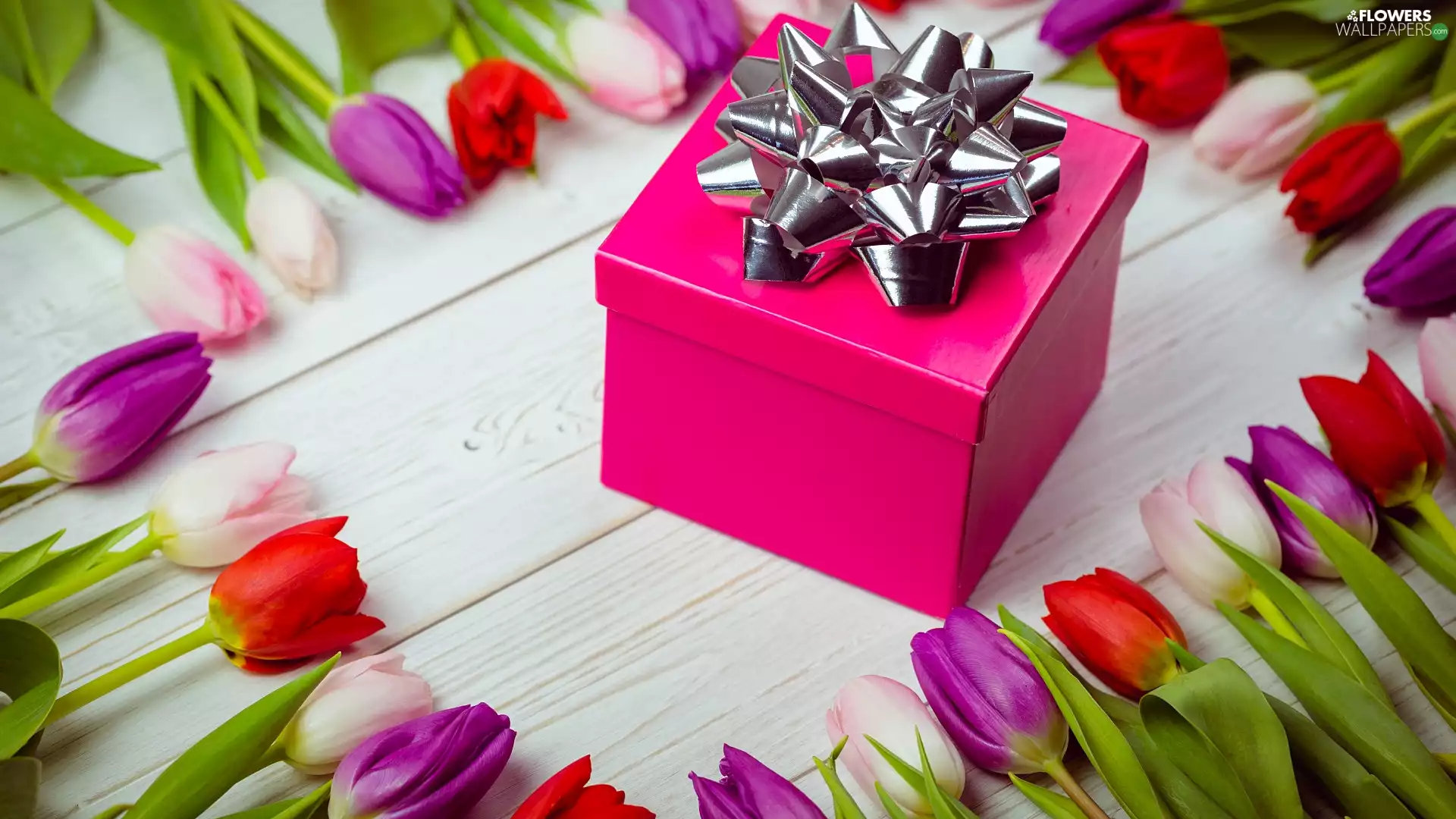 Tulips, boarding, Pink, Present, Box