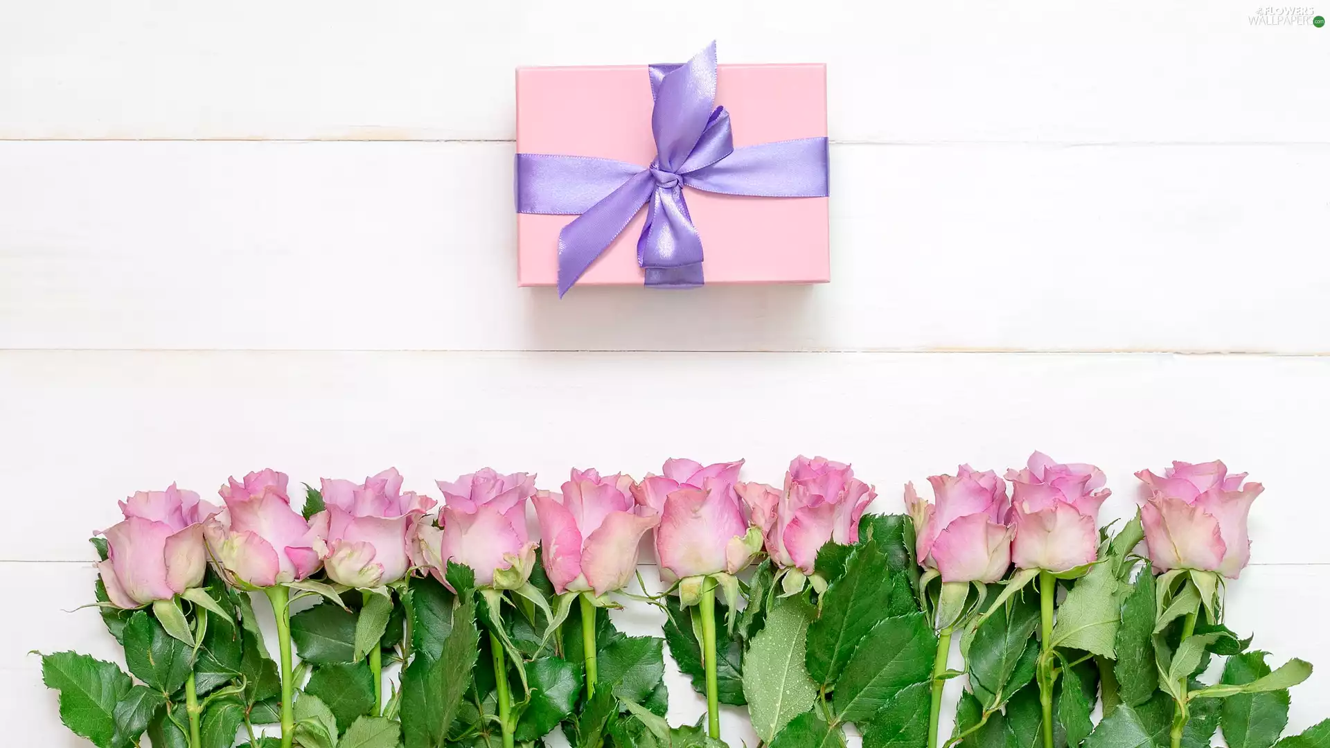 Present, boarding, Pink, roses, Flowers