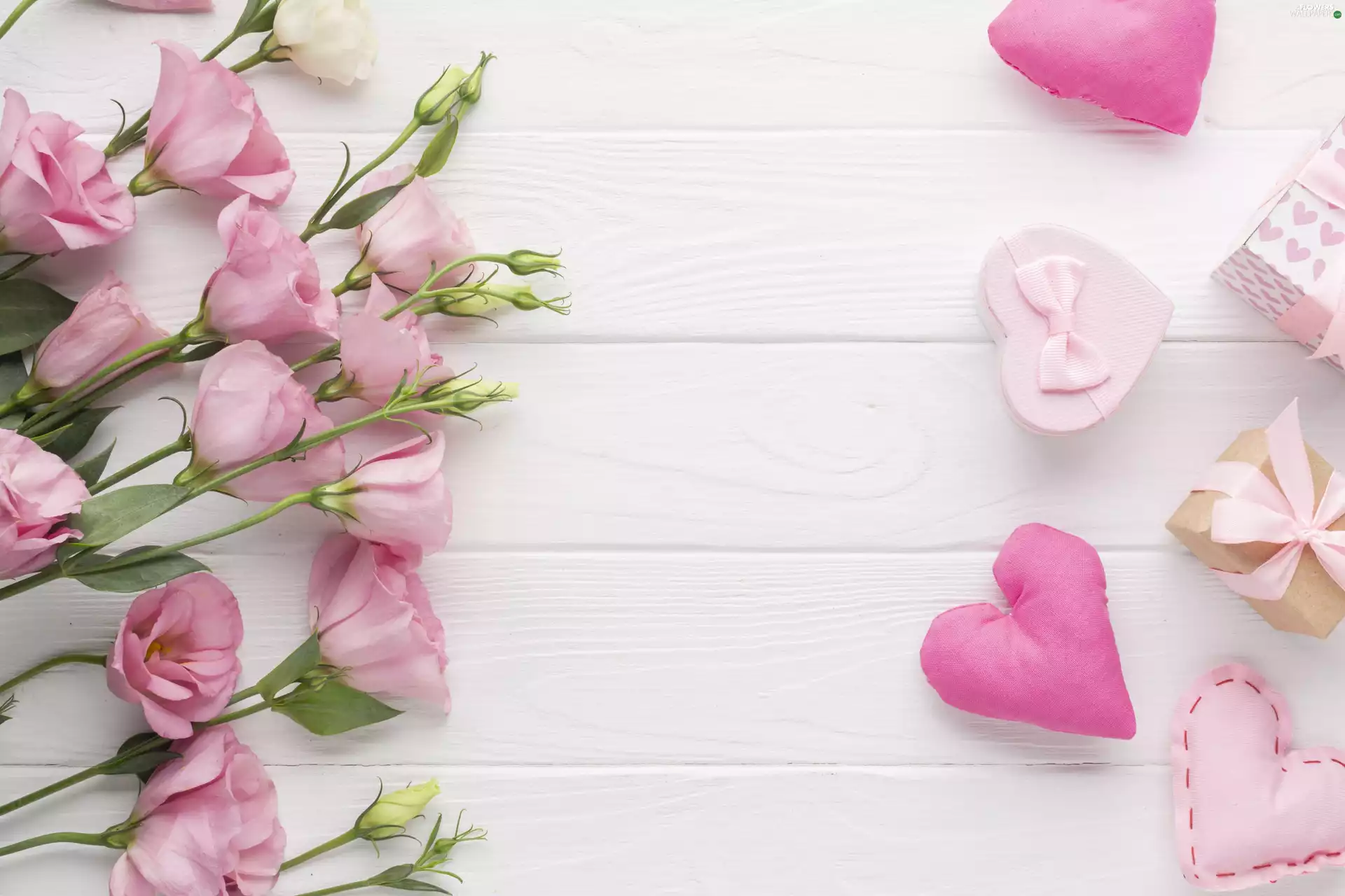 Eustoma, Flowers, gifts, boarding, hearts, Pink