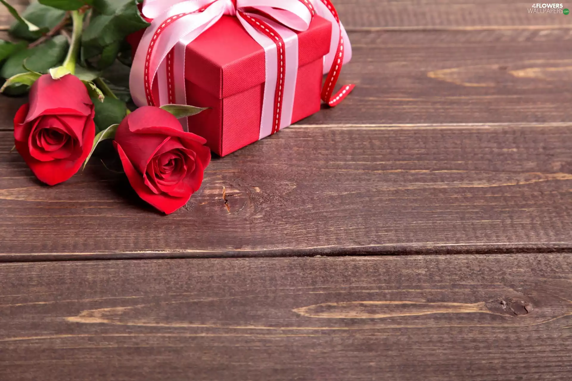Present, boarding, Red, roses, Two