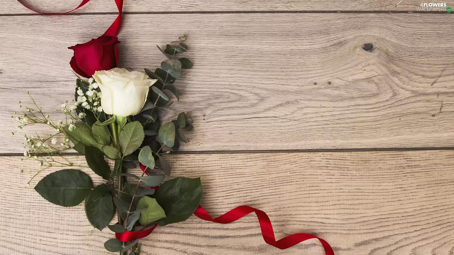 White, Two, ribbon, boarding, red hot, roses