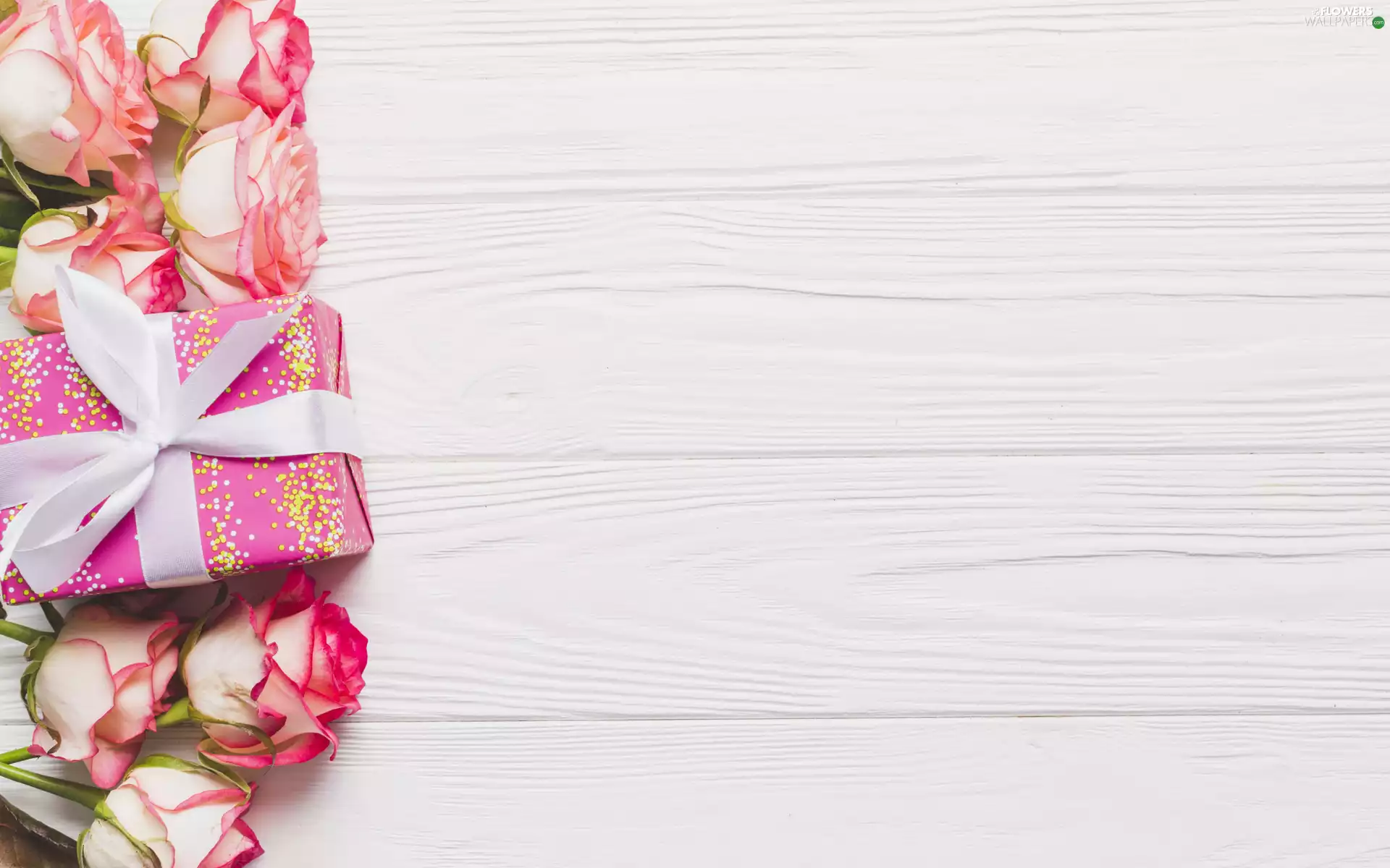 ribbon, boarding, roses, Present, Flowers