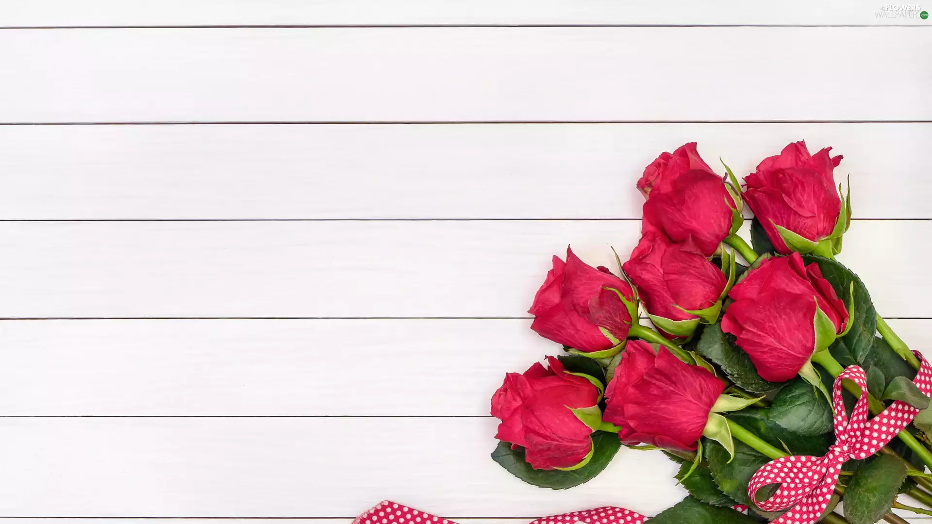 White, boarding, roses, ribbon, Red